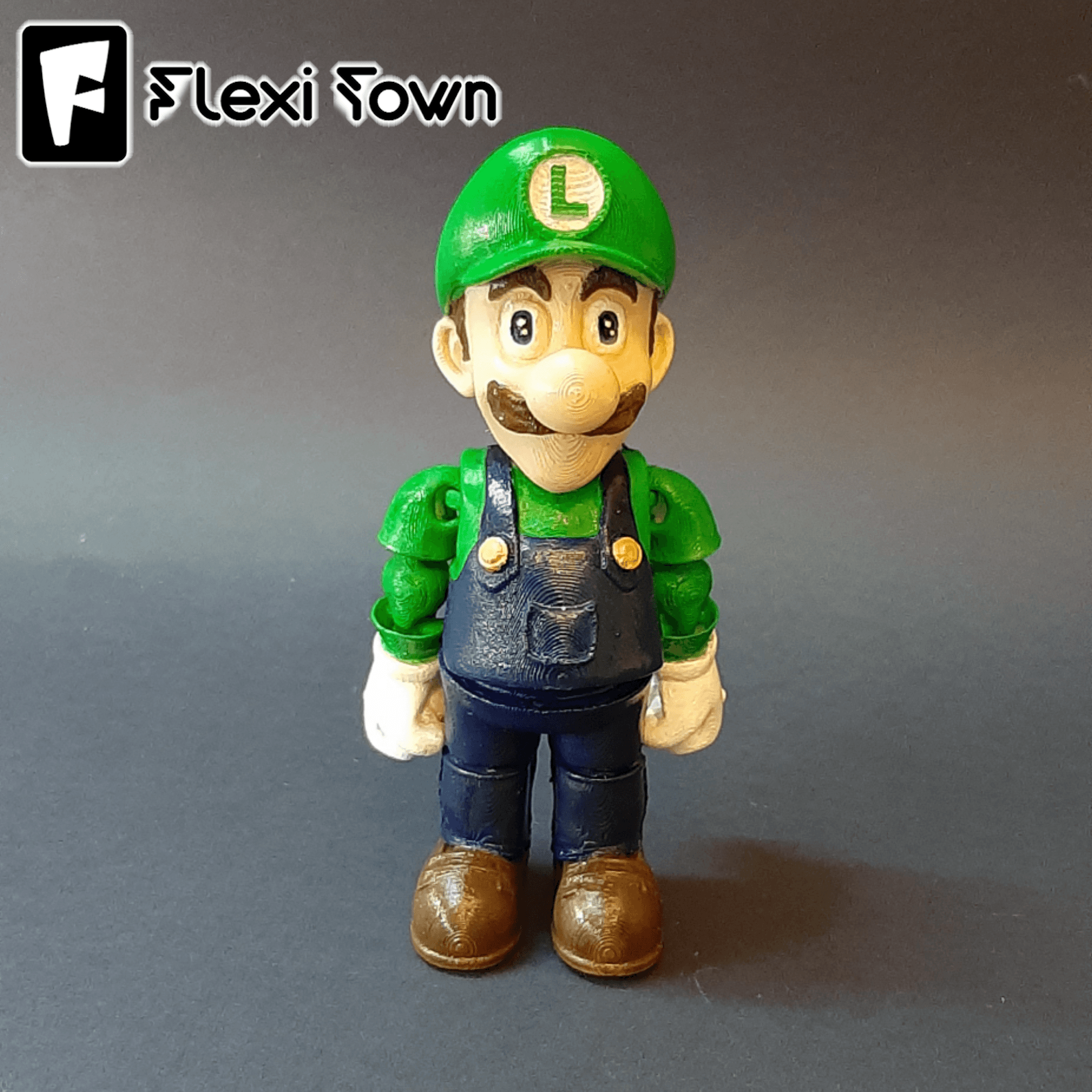 Flexi Print-in-Place Luigi 3d model