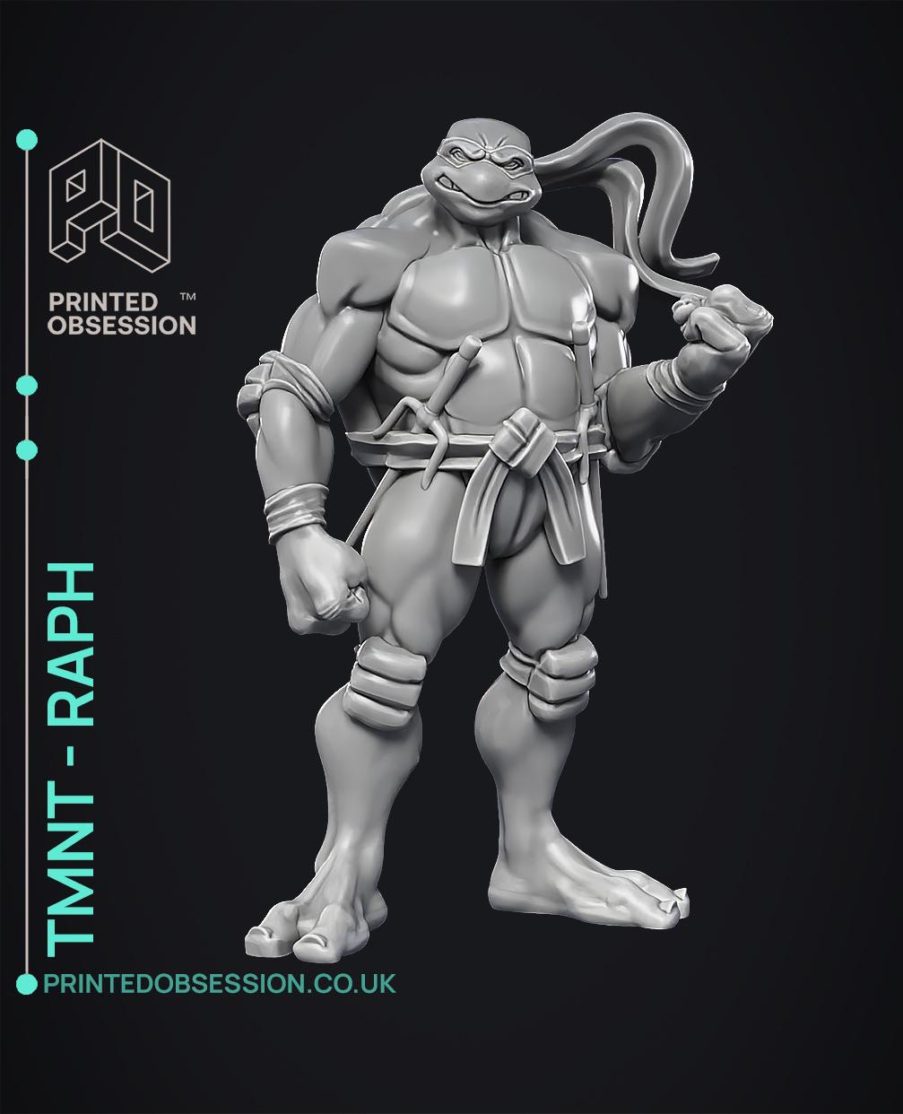 Raphael - TMNT - Fan Art 3d model