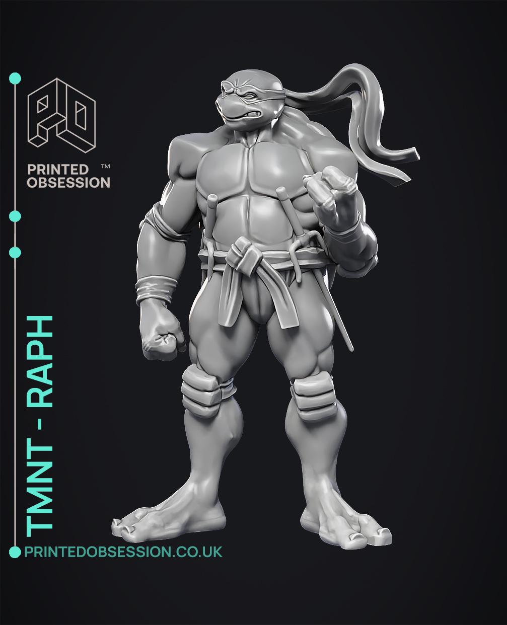 Raphael - TMNT - Fan Art 3d model