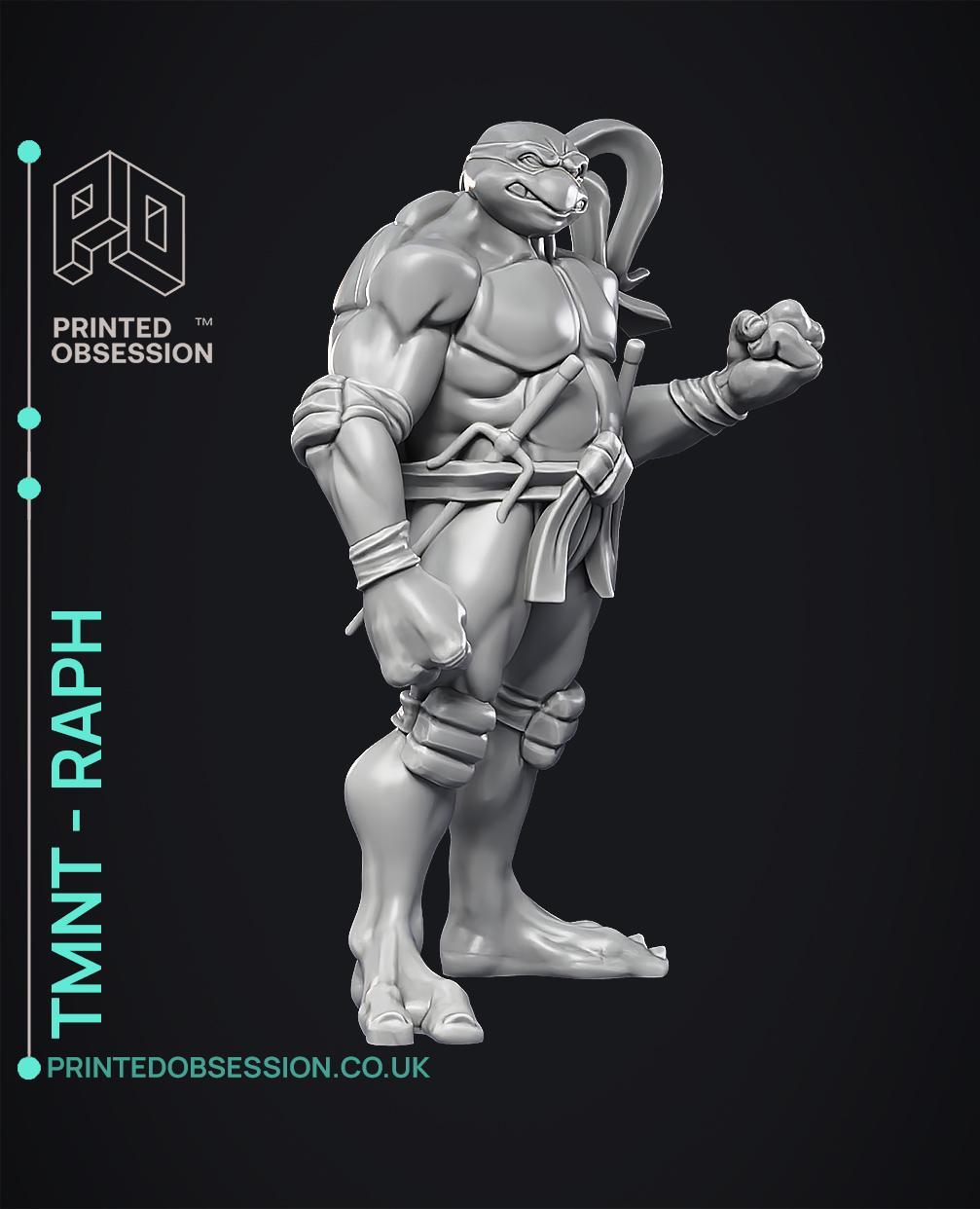 Raphael - TMNT - Fan Art 3d model