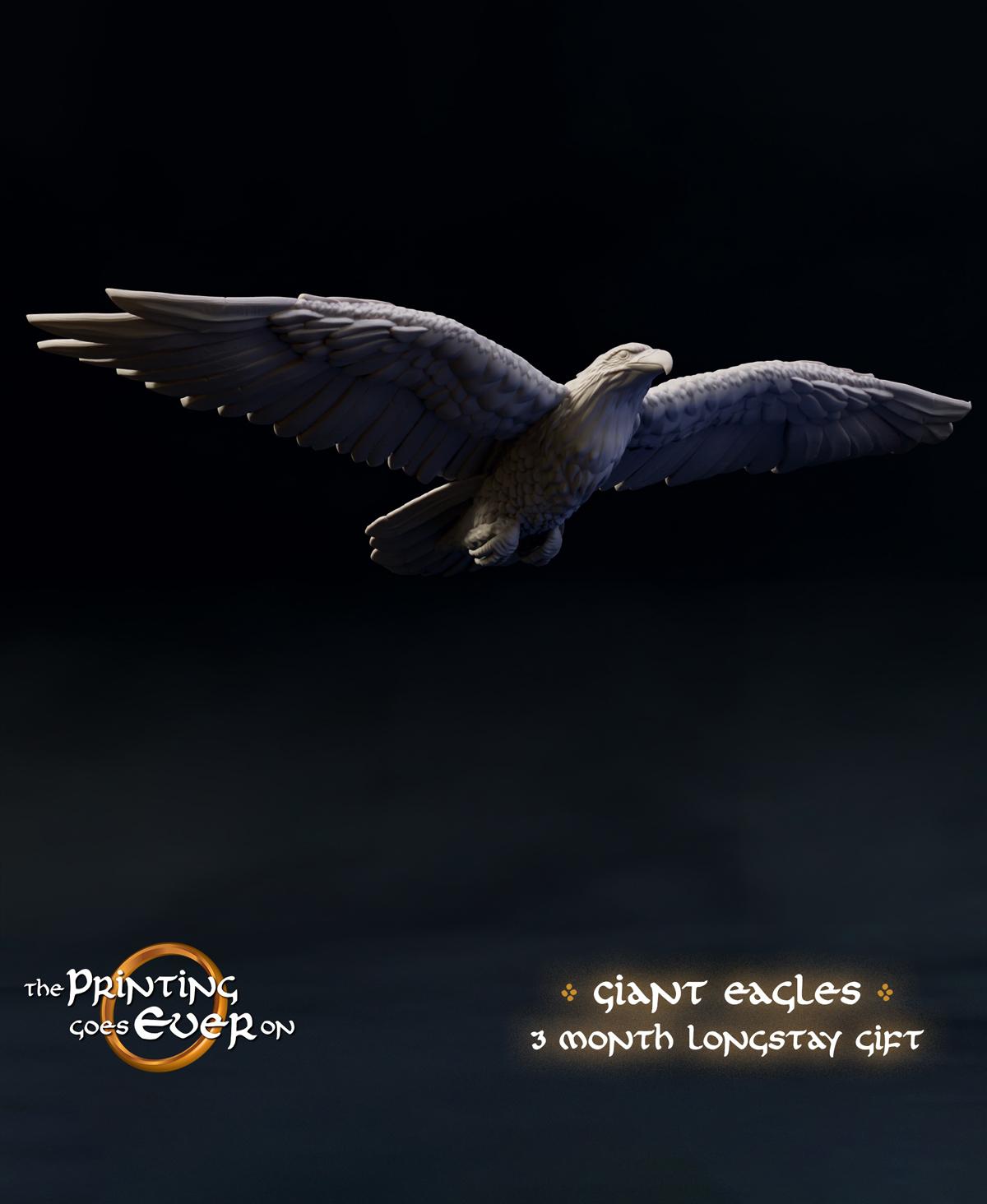 Giant Eagles - Three Month Longstay Gift 3d model