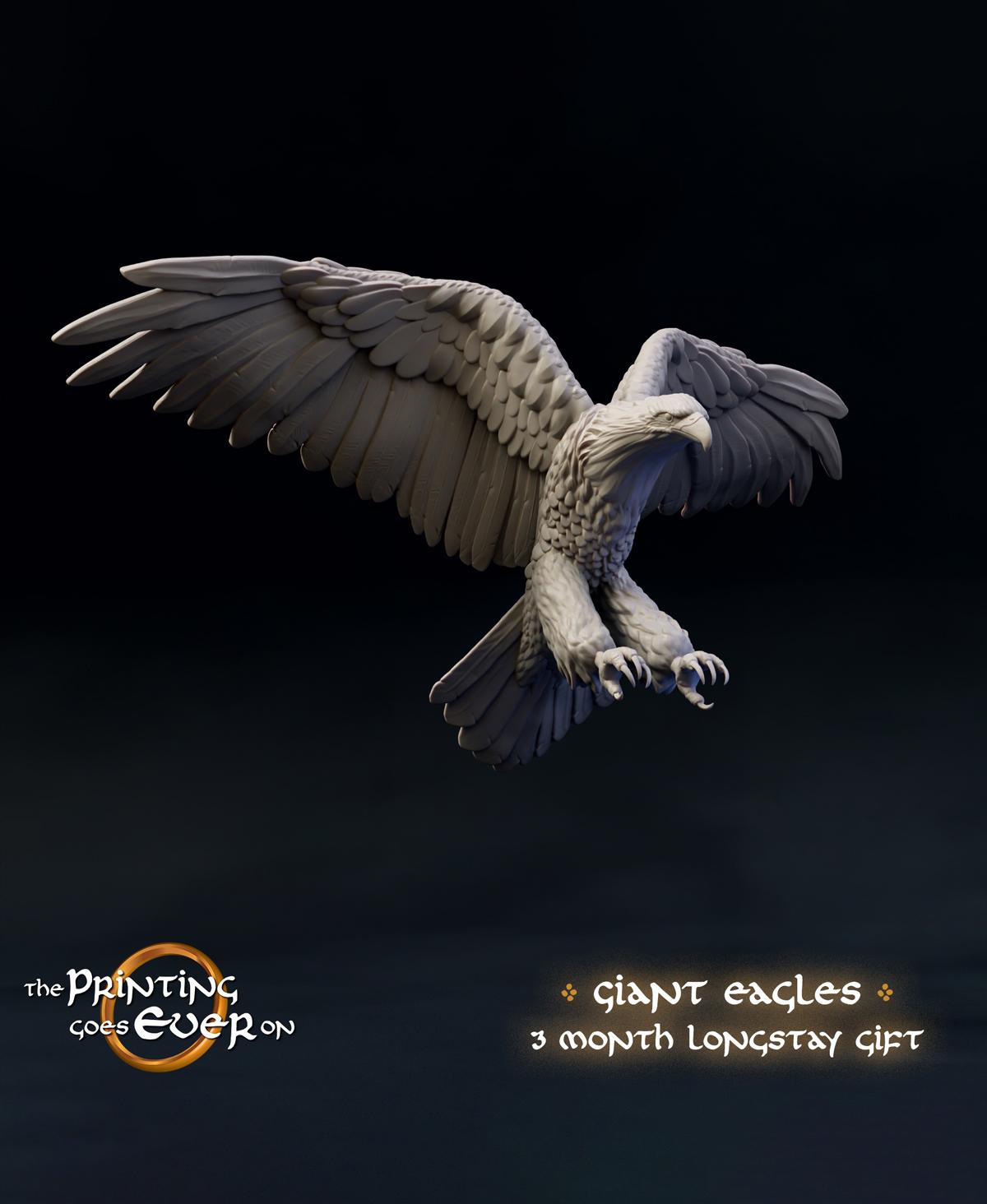 Giant Eagles - Three Month Longstay Gift 3d model