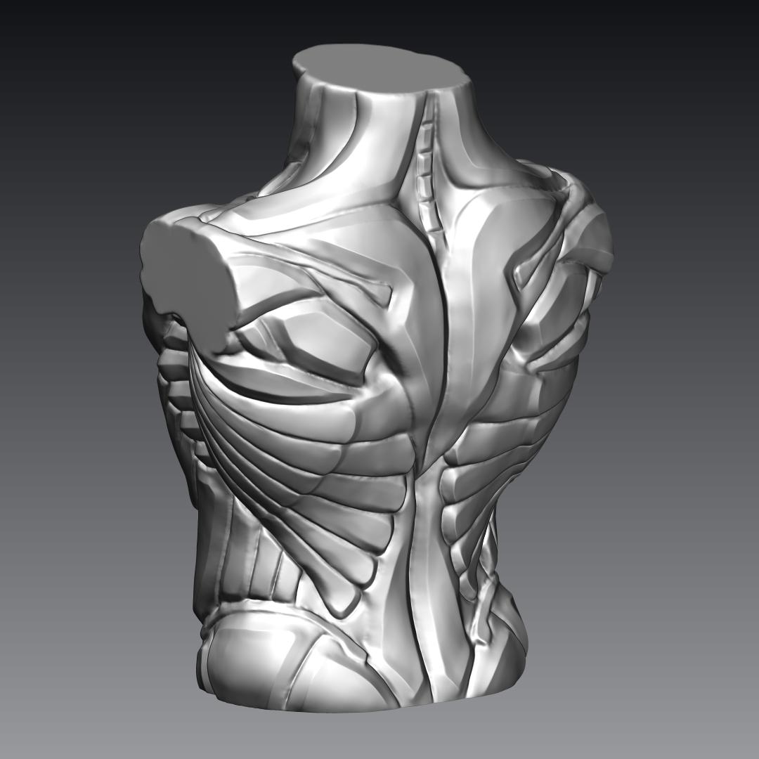 Stylized Male Bust 3d model