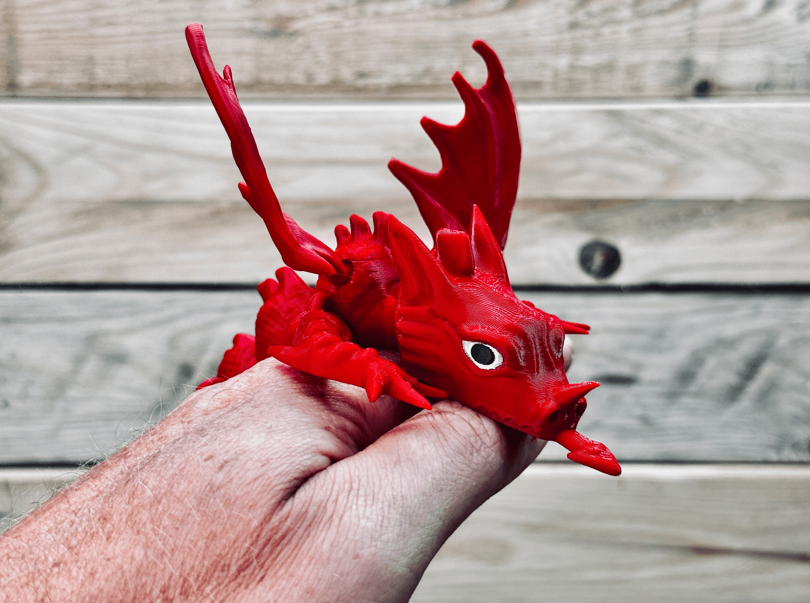 Y Ddraig Goch. Welsh Dragon - Articulated 3d model