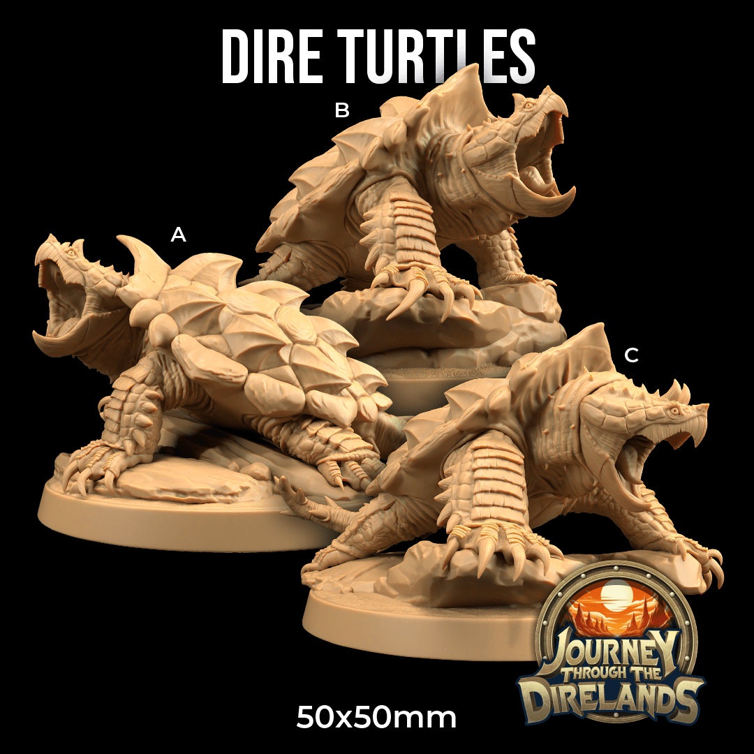 Dire Turtles 3d model