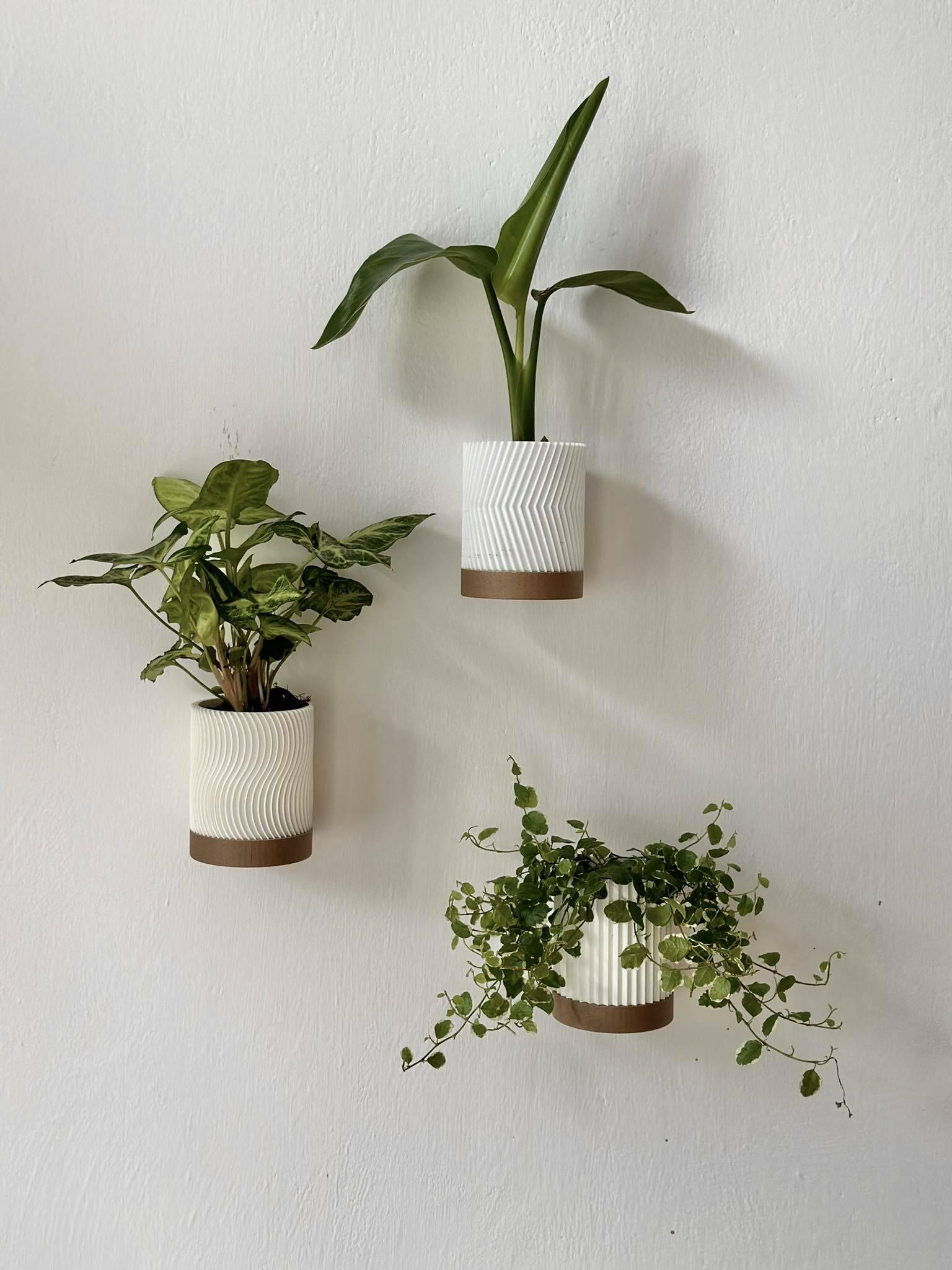 WALL PLANTER SET 3d model