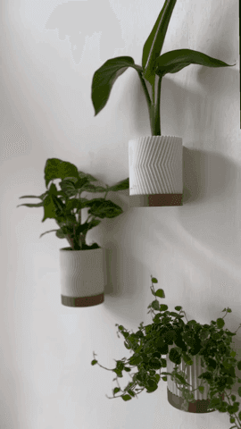 WALL PLANTER SET 3d model