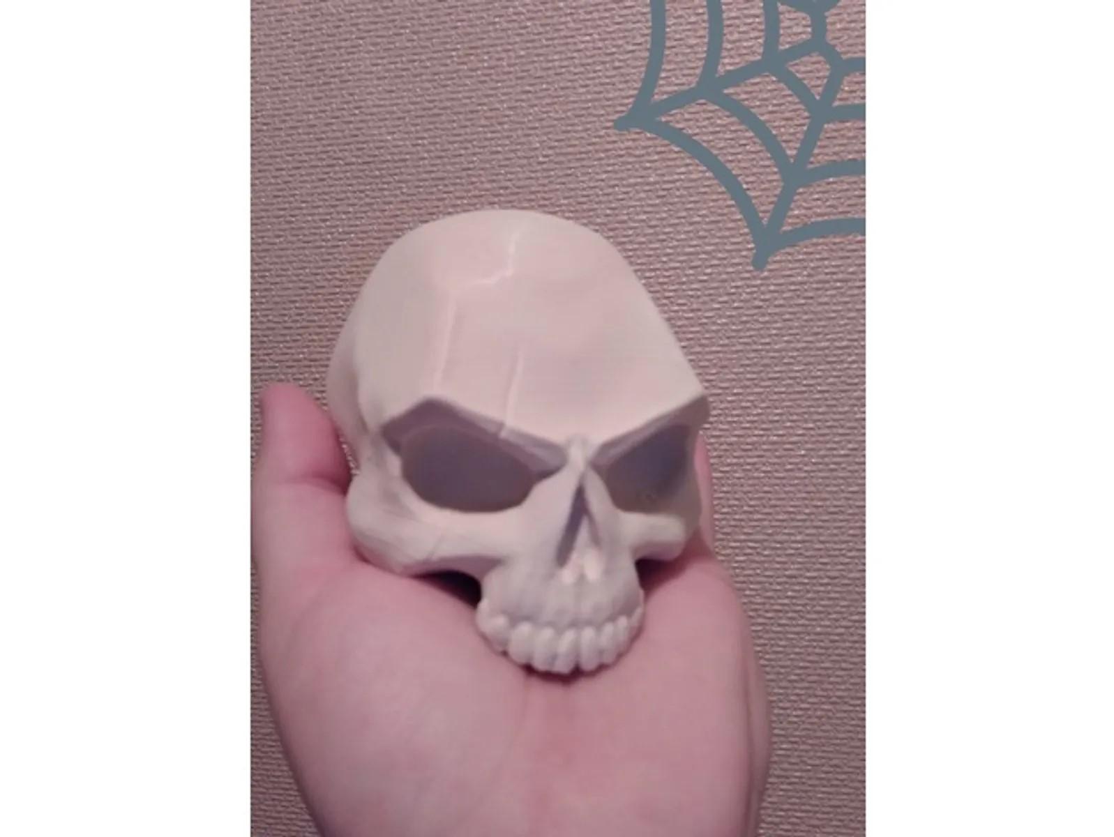 Skull_scar 3d model