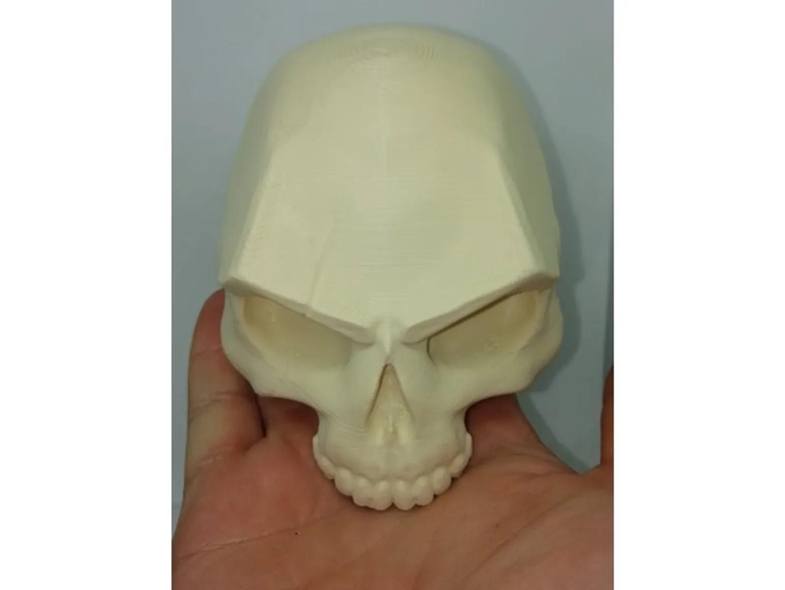 Skull_scar 3d model