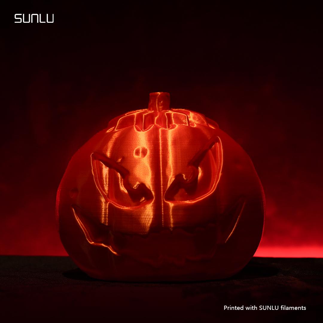 Pumpkin Head_SUNLU 3d model