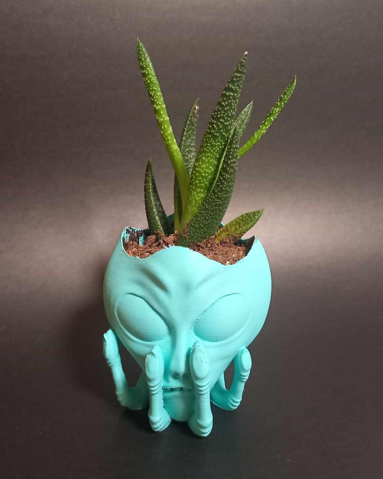 Alien Head in Hand Planter - Easy to Print - With or without drainage. 3d model