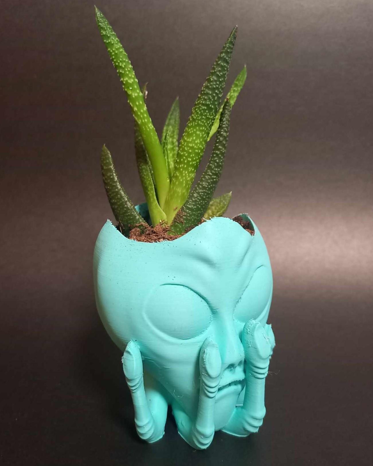 Alien Head in Hand Planter - Easy to Print - With or without drainage. 3d model