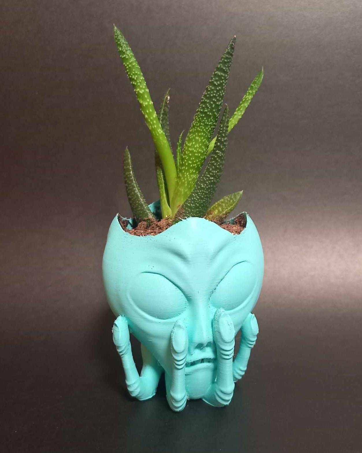 Alien Head in Hand Planter - Easy to Print - With or without drainage. 3d model