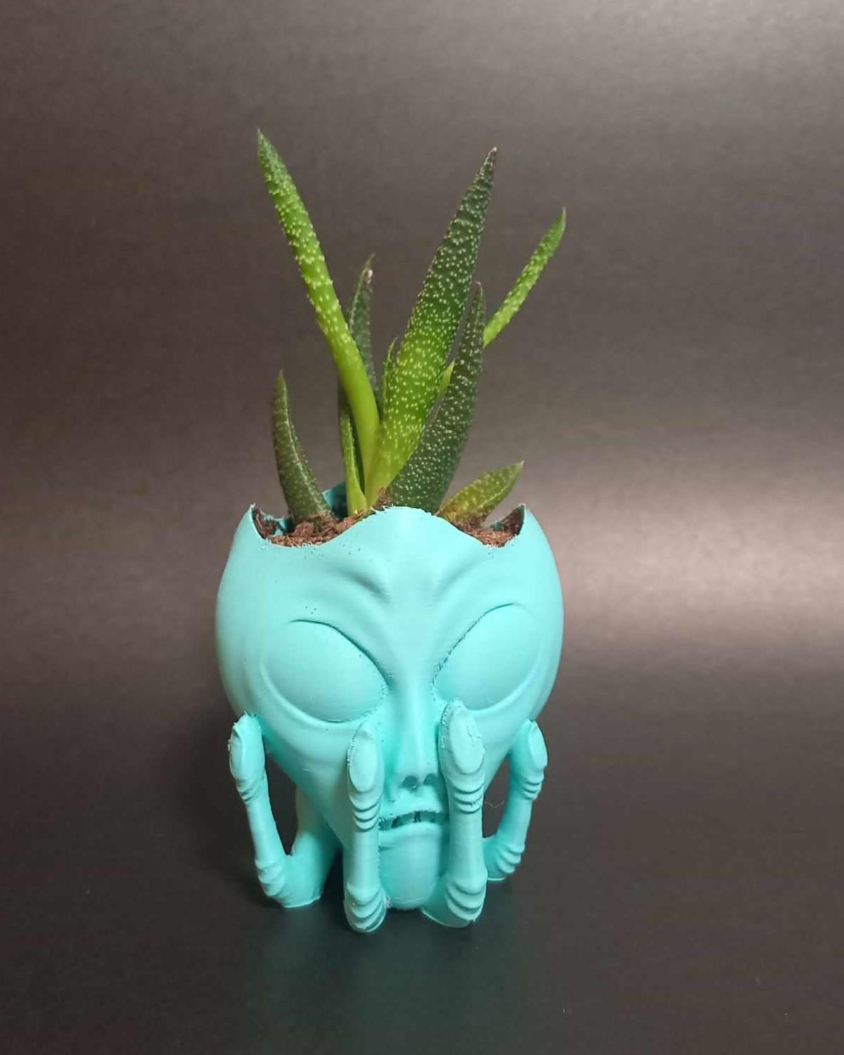 Alien Head in Hand Planter - Easy to Print - With or without drainage. 3d model