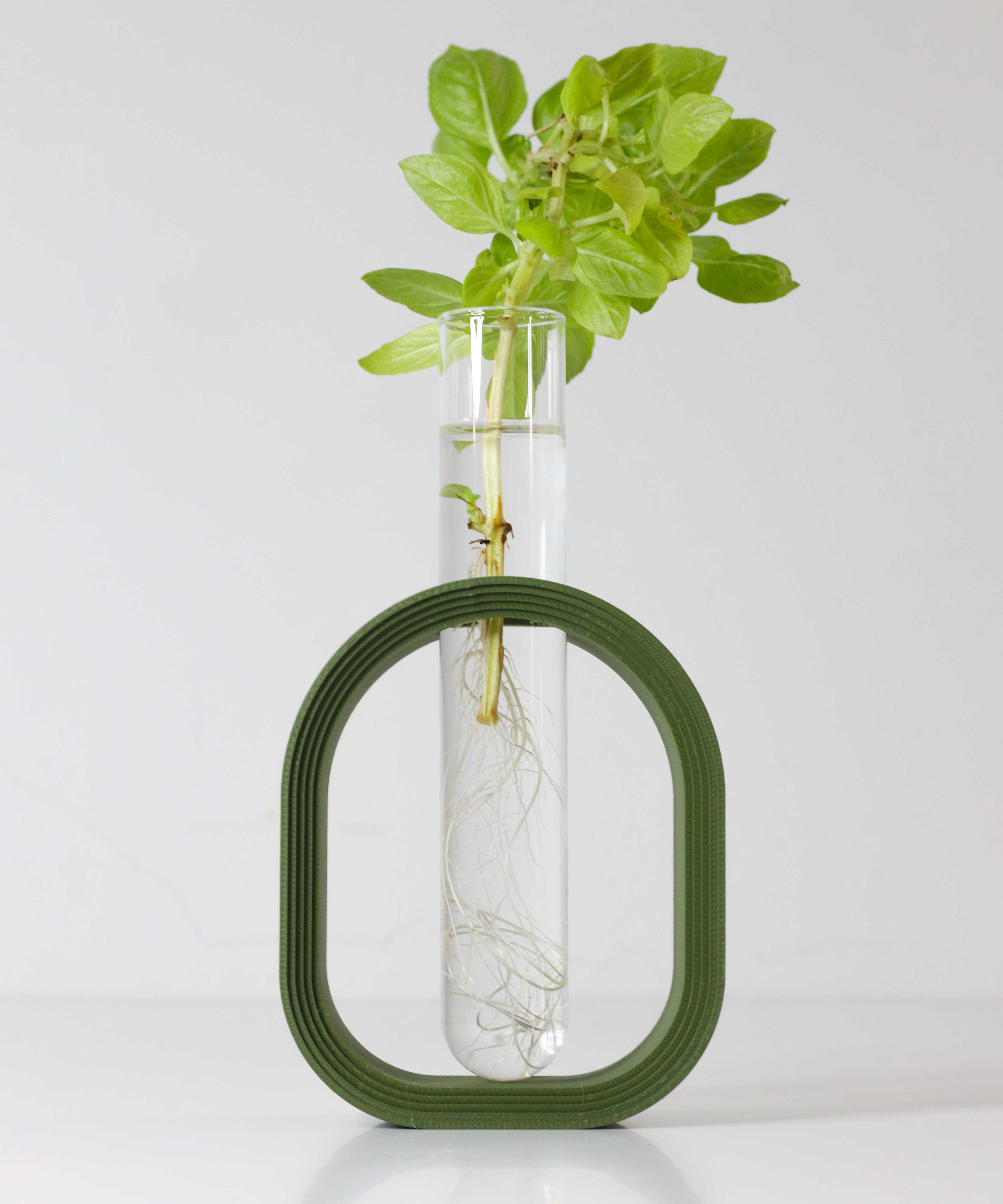 MODERN PLANT PROPAGATION HOLDER: GLASS TUBE STAND FOR EASY GROWTH 3d model