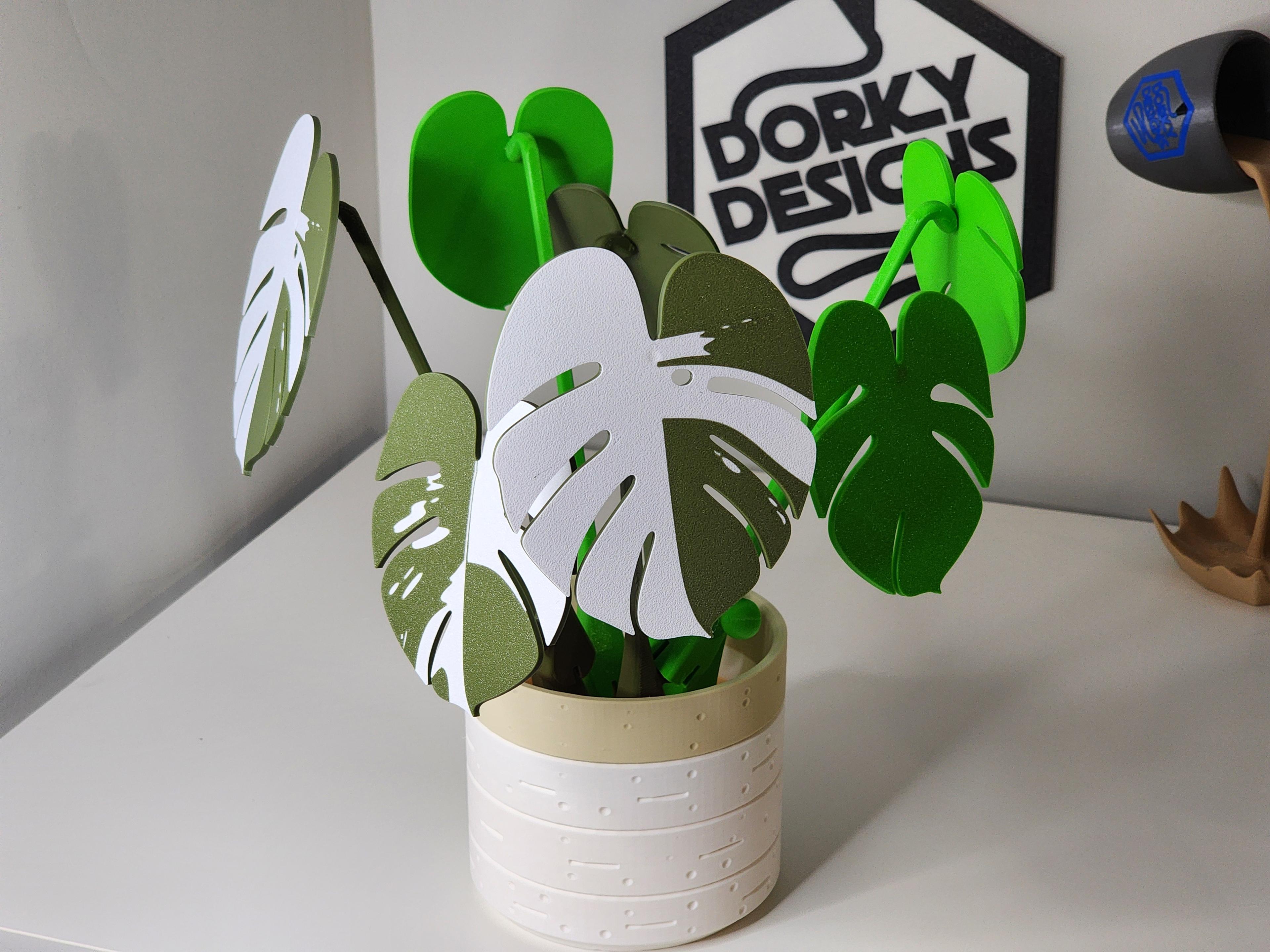 Monstera Coaster Set 3d model