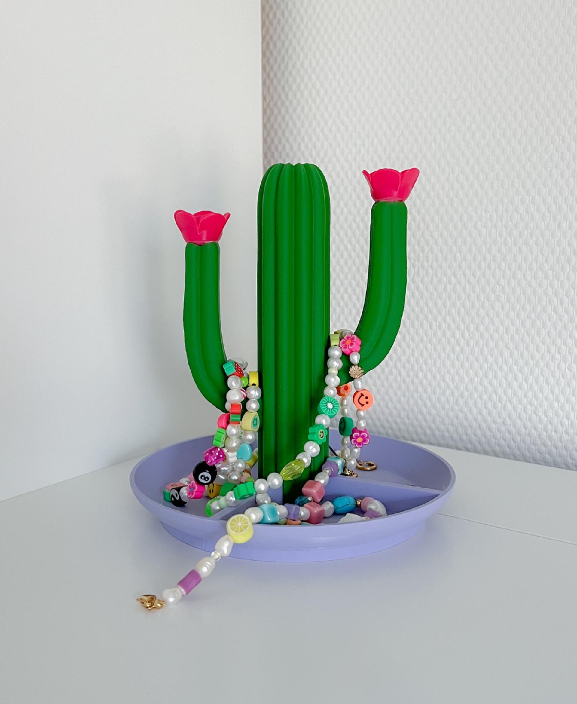 Cactus Magnetic Organizer  3d model