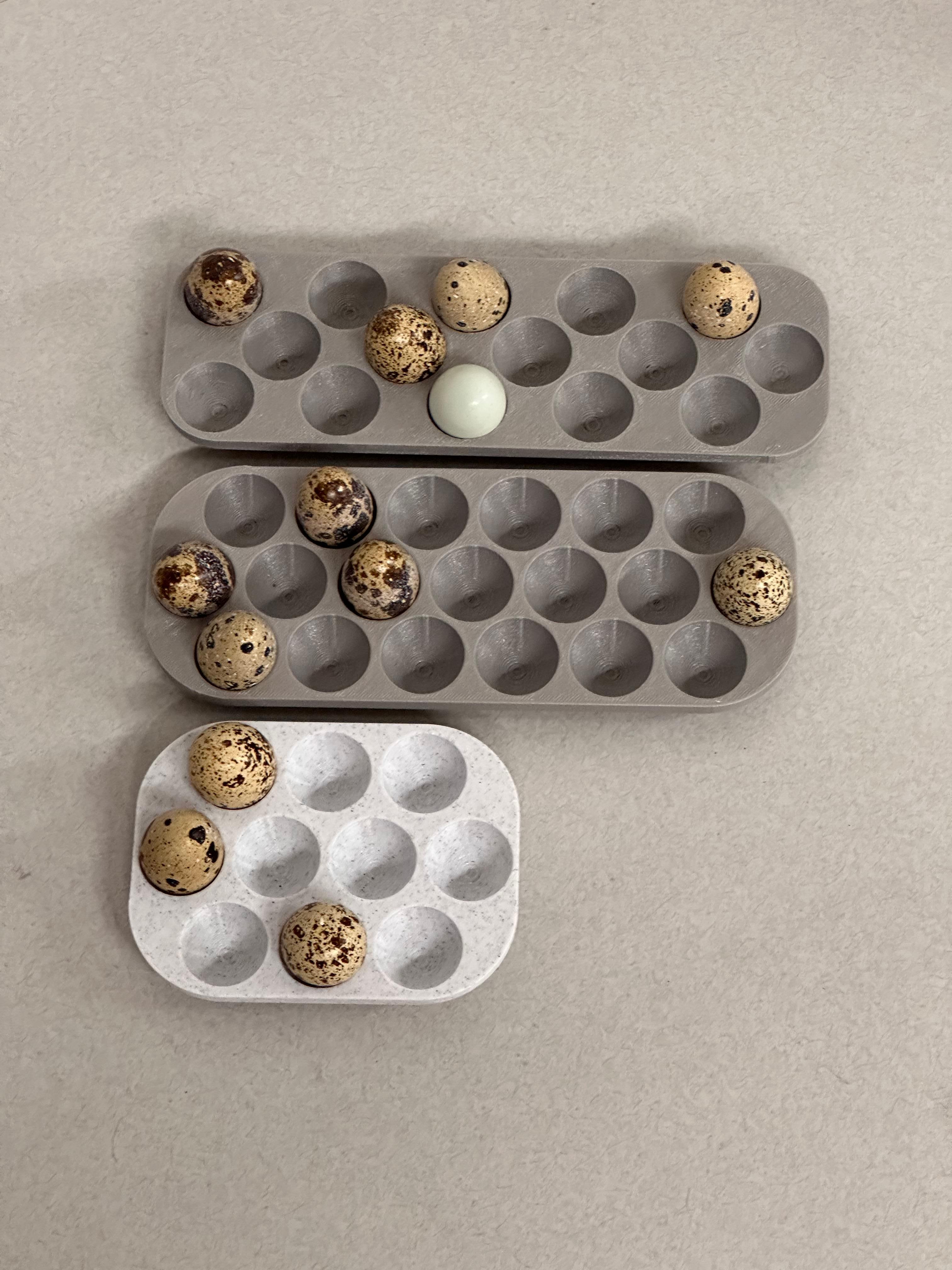 24 Quail Egg Tray 3d model