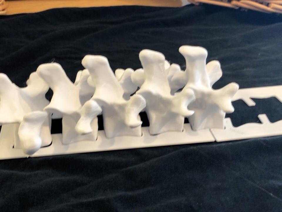 Wearable Spine 3d model