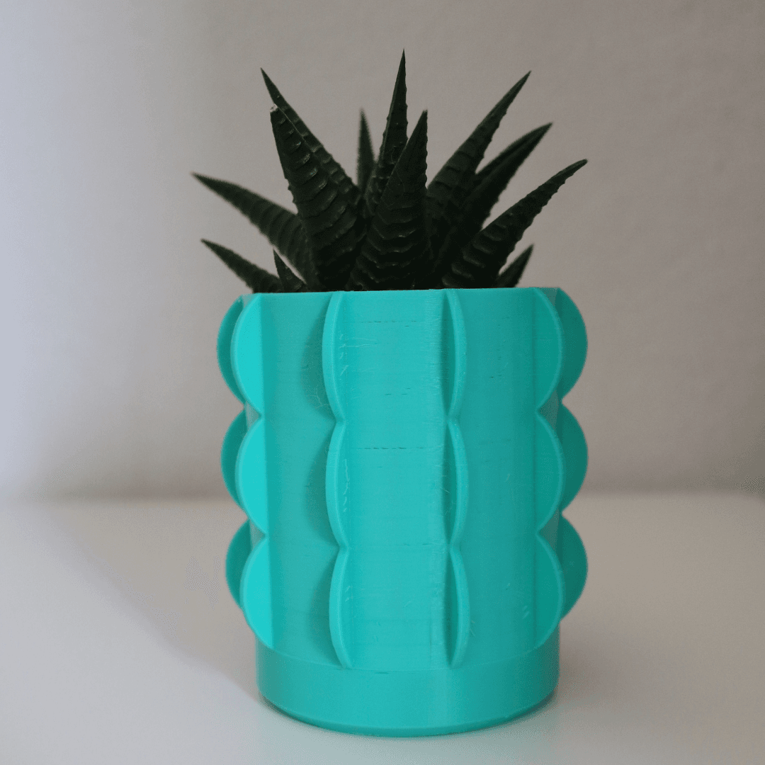 Cactus Vase  3d model