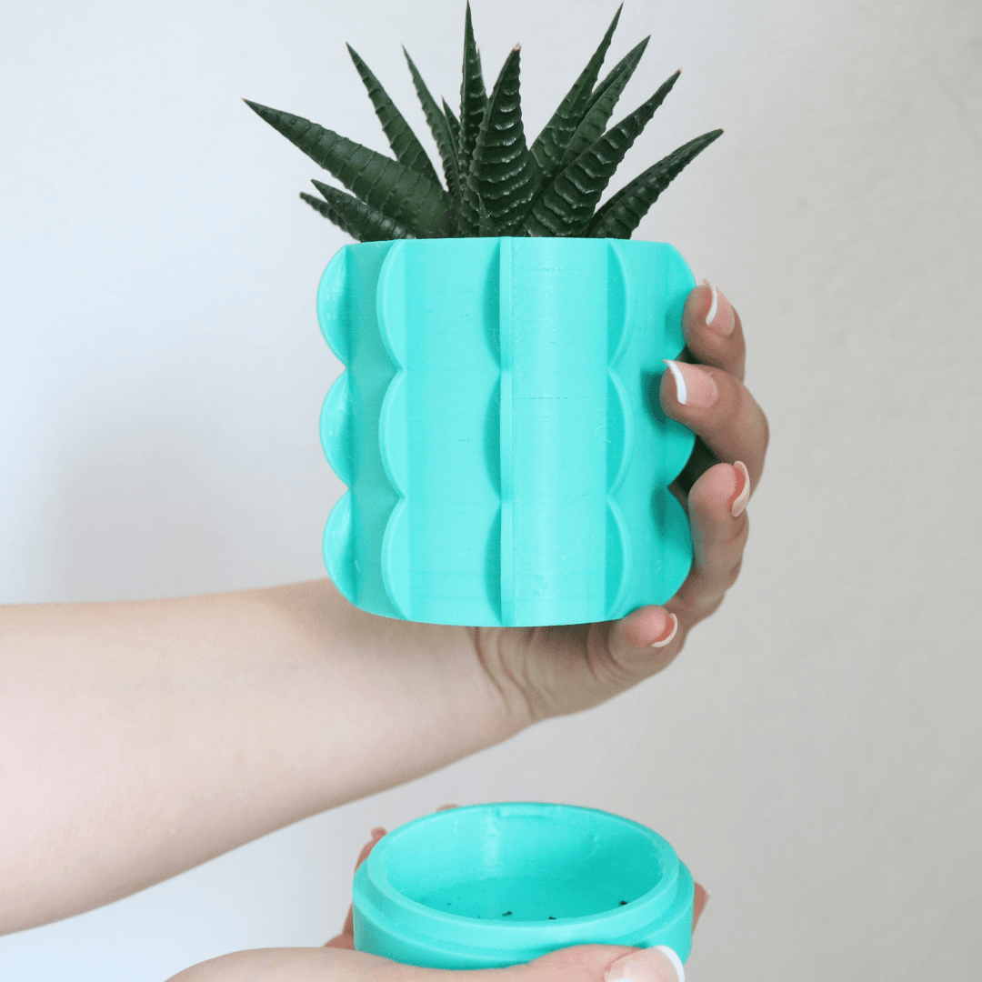 Cactus Vase  3d model