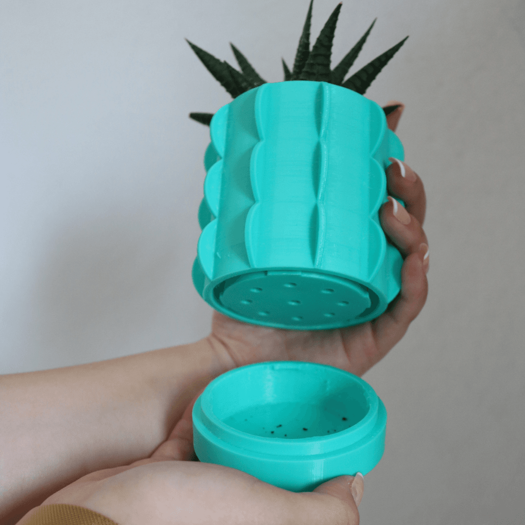 Cactus Vase  3d model