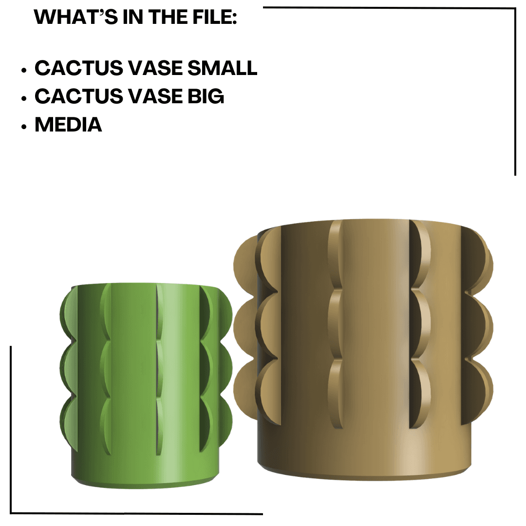 Cactus Vase  3d model