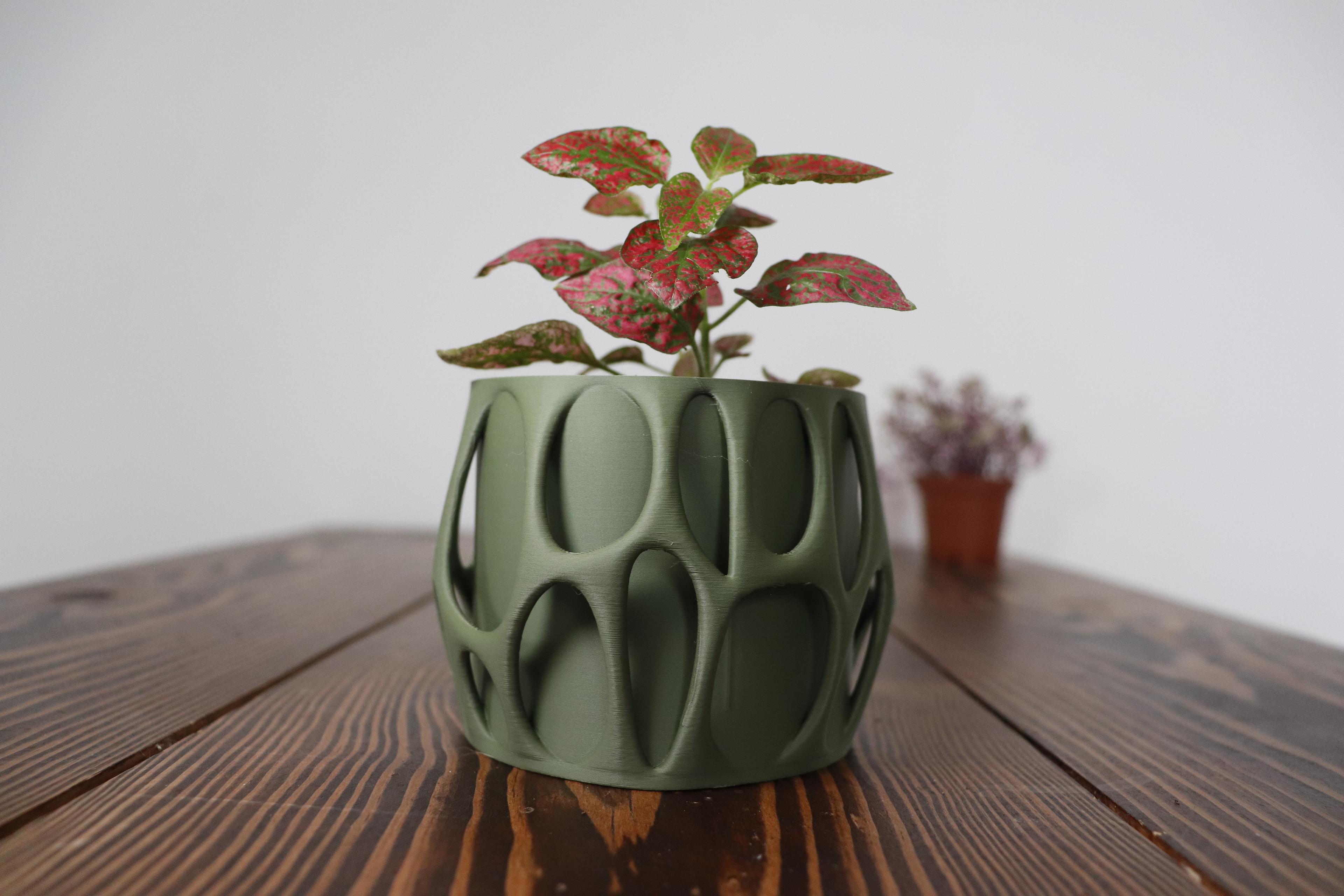 Voro Planter 3d model