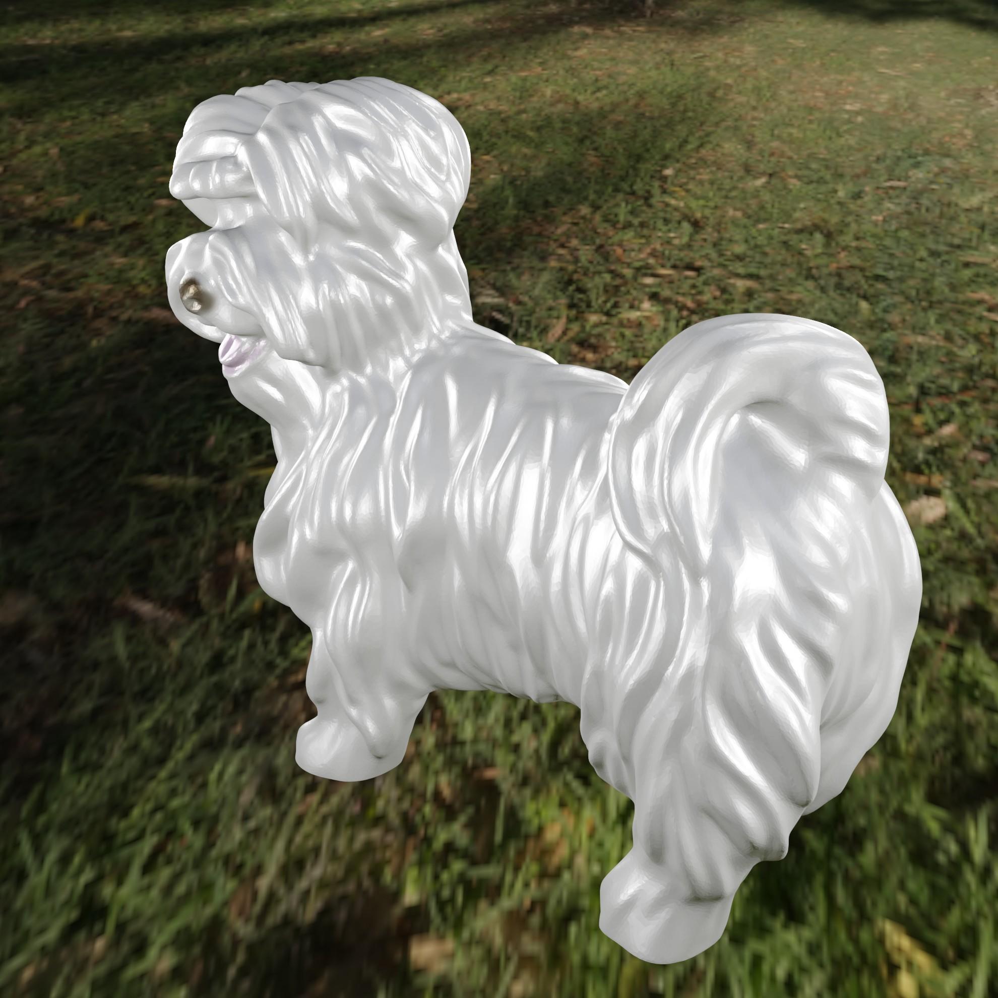 Dog Bichon 1 3d model