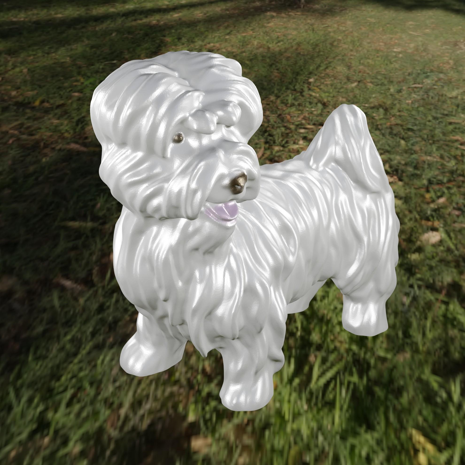 Dog Bichon 1 3d model