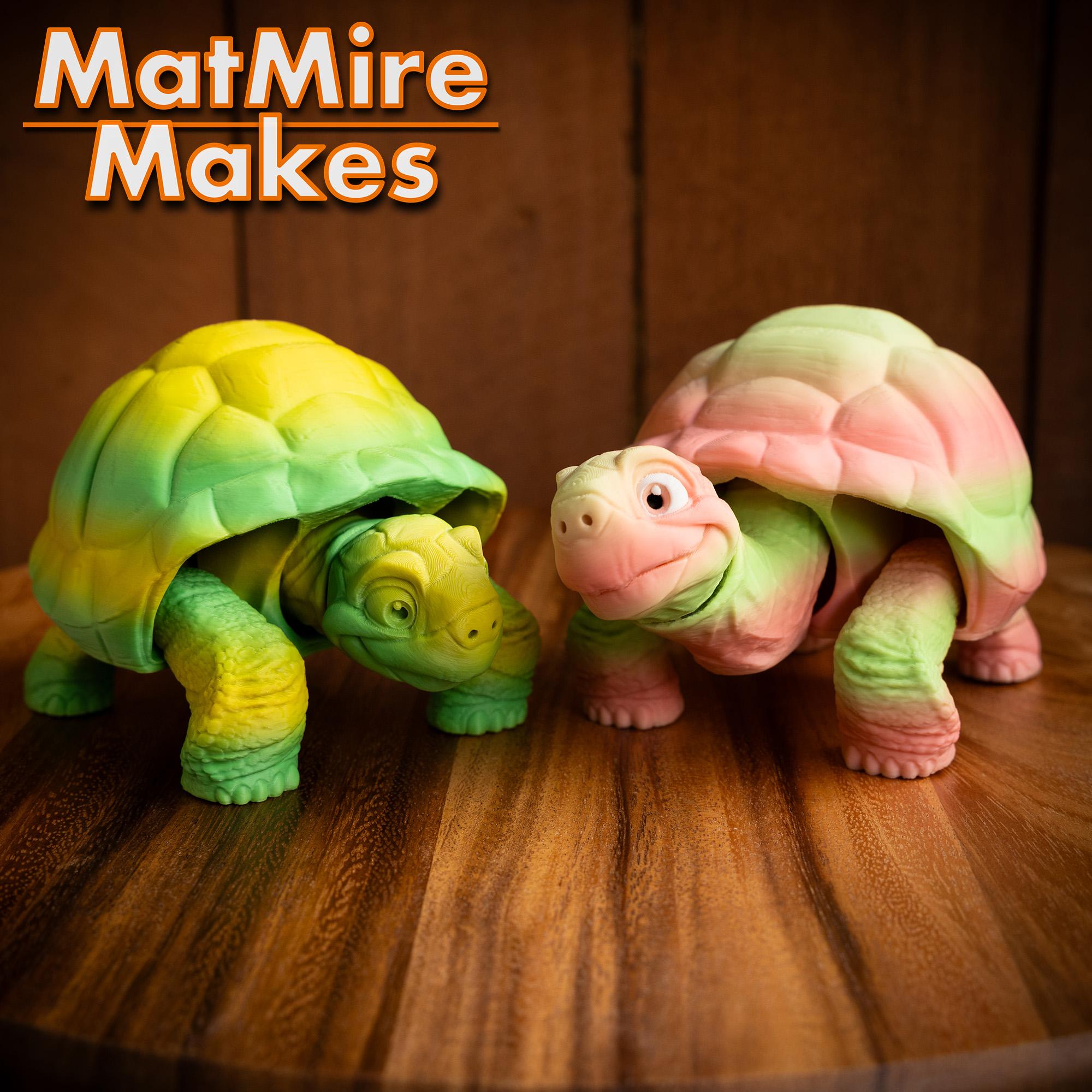 Tortoise - Articulated Figure 3d model