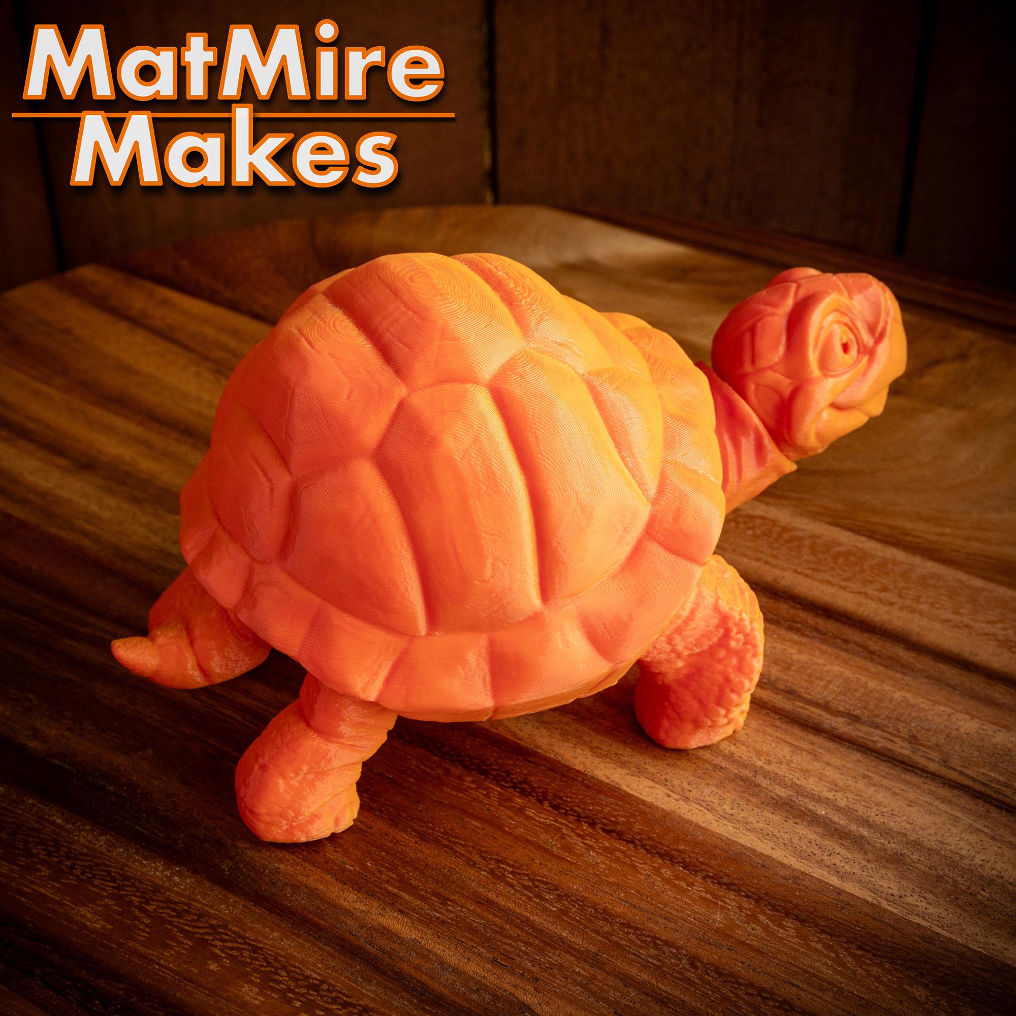 Tortoise - Articulated Figure 3d model