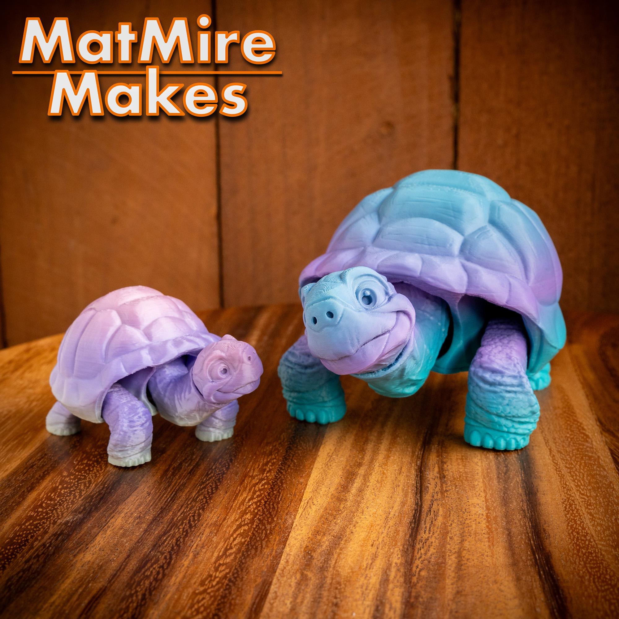 Tortoise - Articulated Figure 3d model