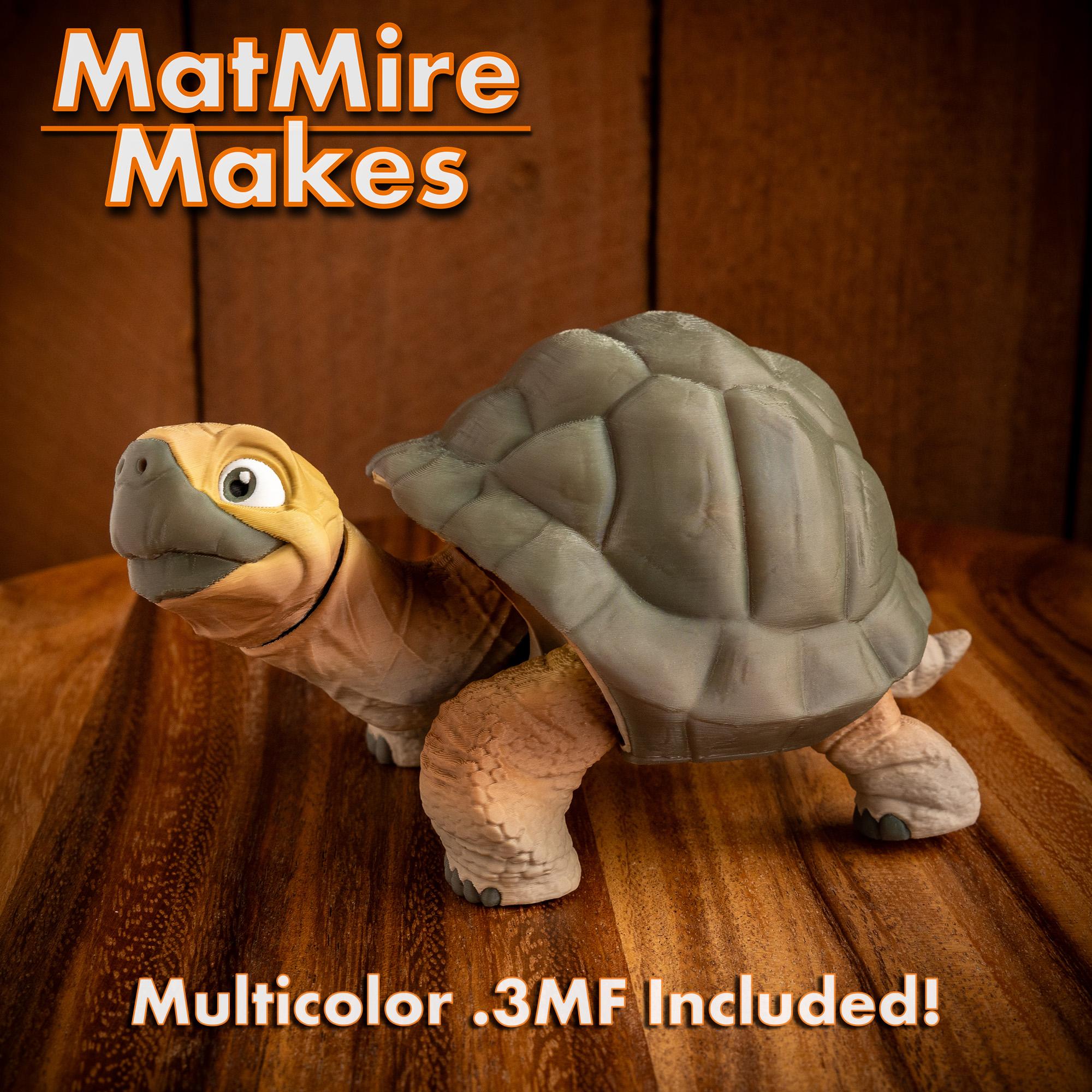 Tortoise - Articulated Figure 3d model