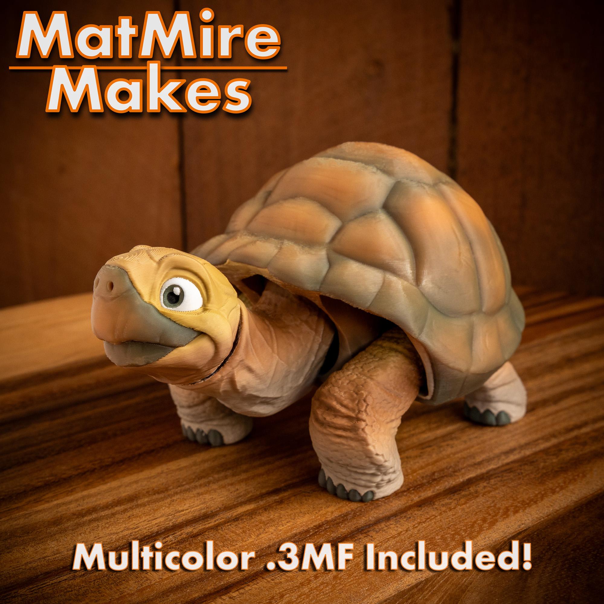 Tortoise - Articulated Figure 3d model