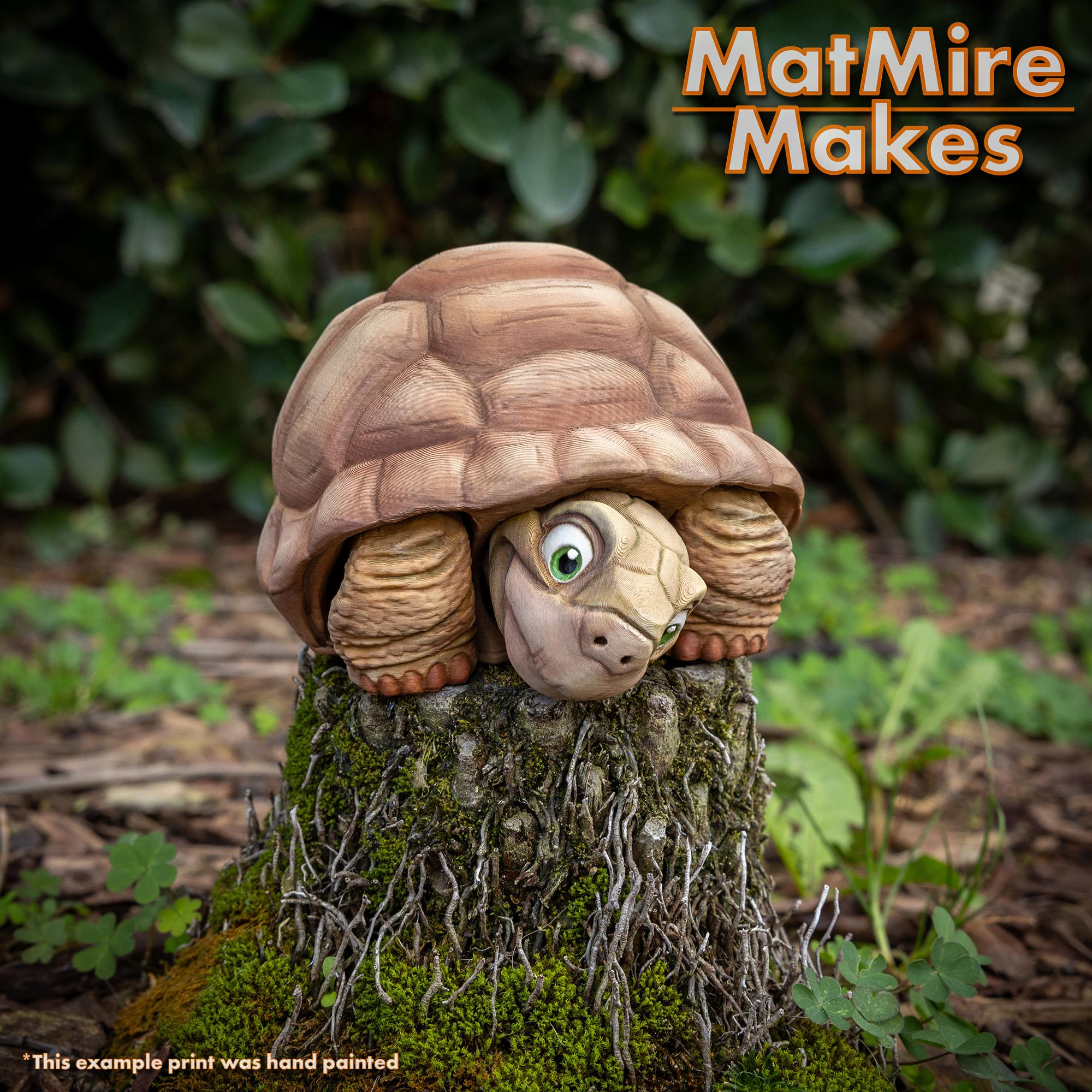 Tortoise - Articulated Figure 3d model