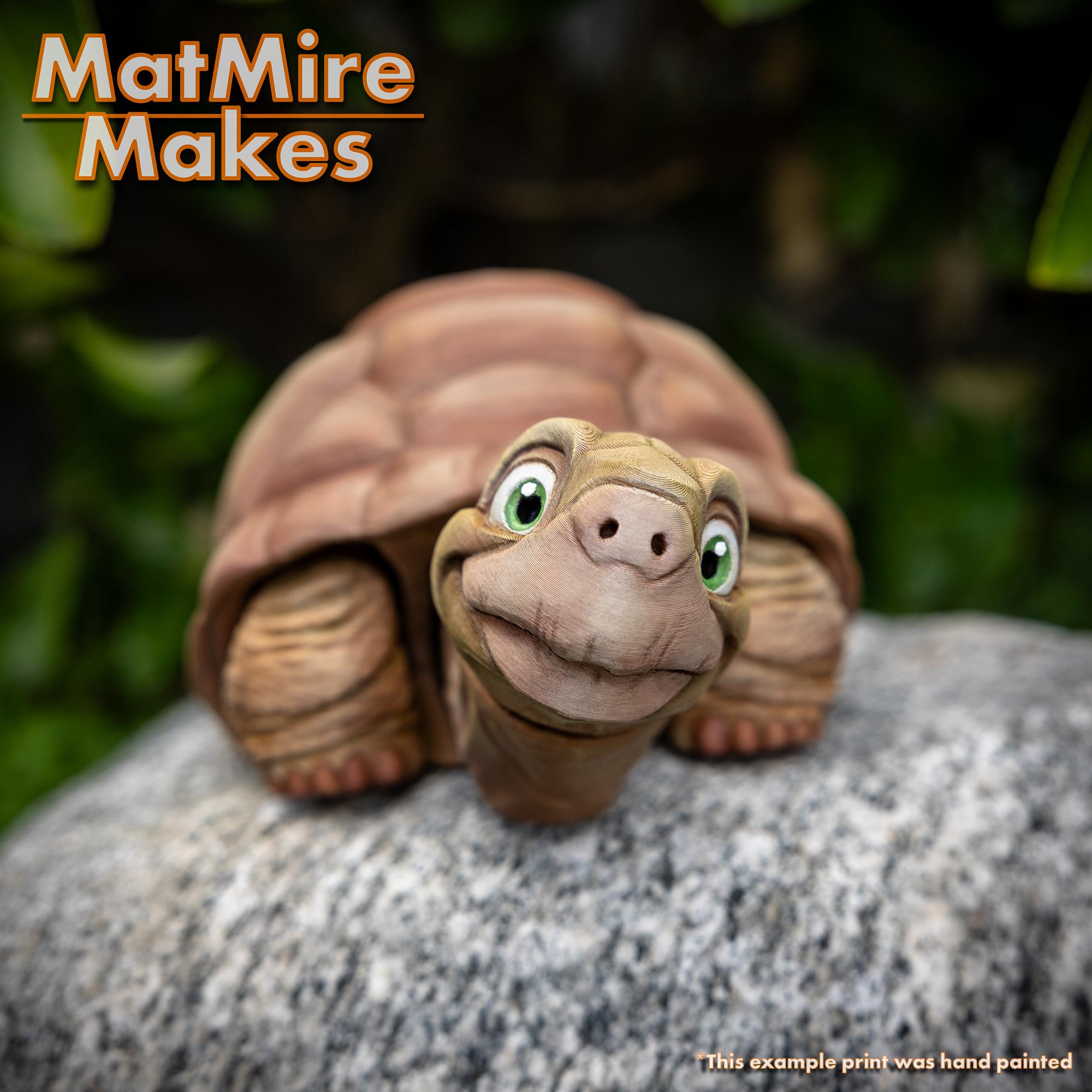 Tortoise - Articulated Figure 3d model