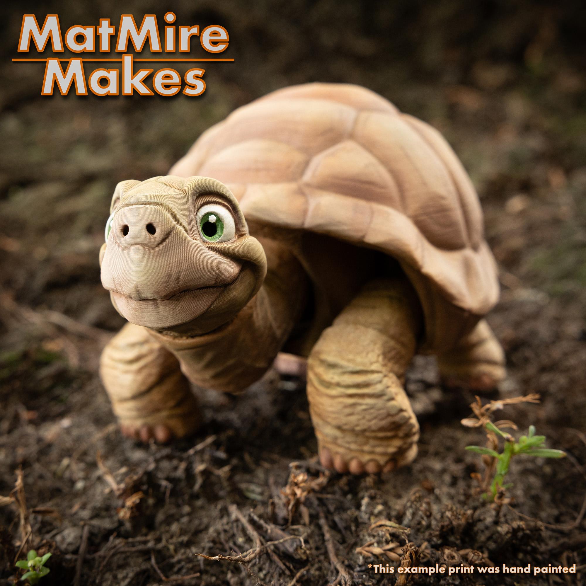 Tortoise - Articulated Figure 3d model