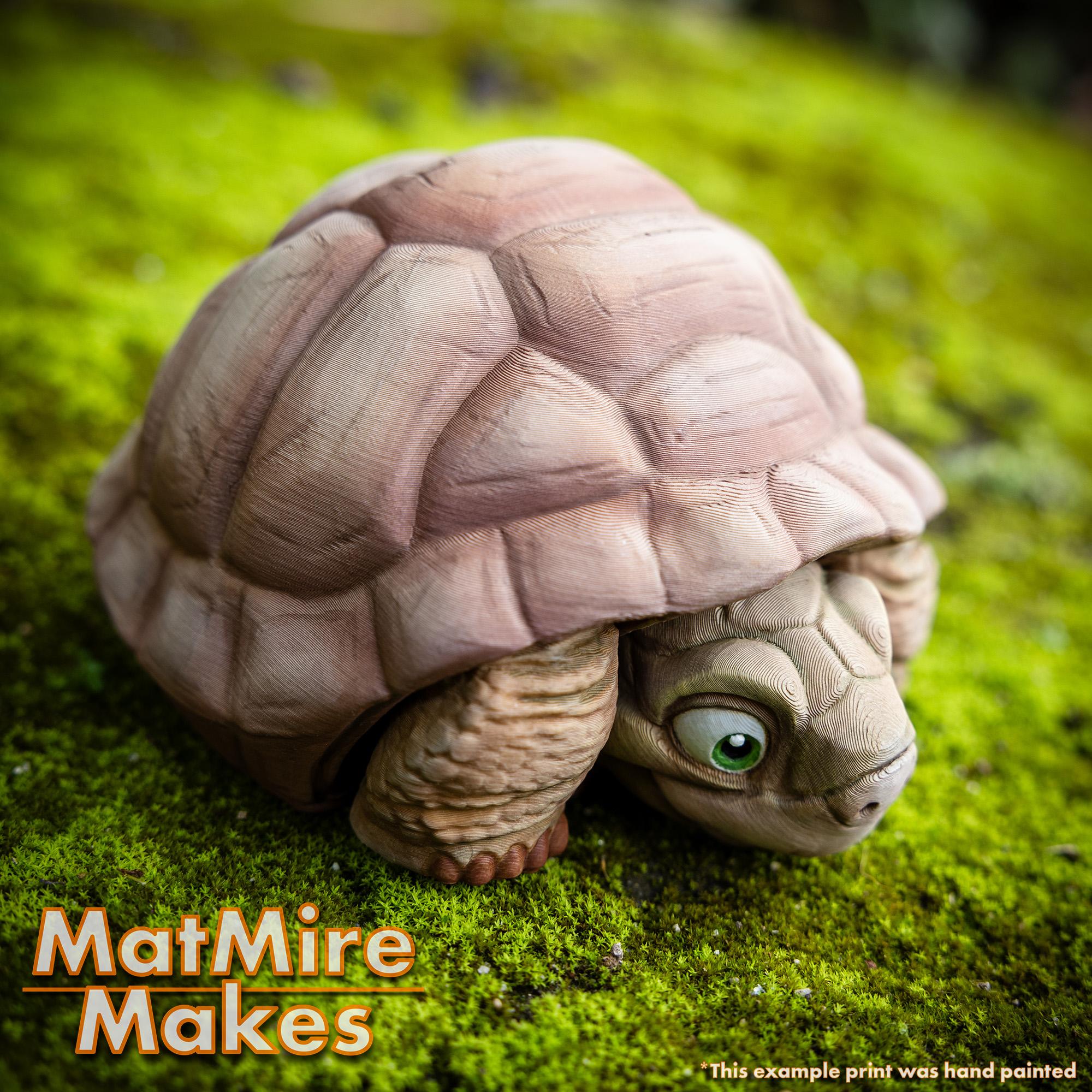 Tortoise - Articulated Figure 3d model