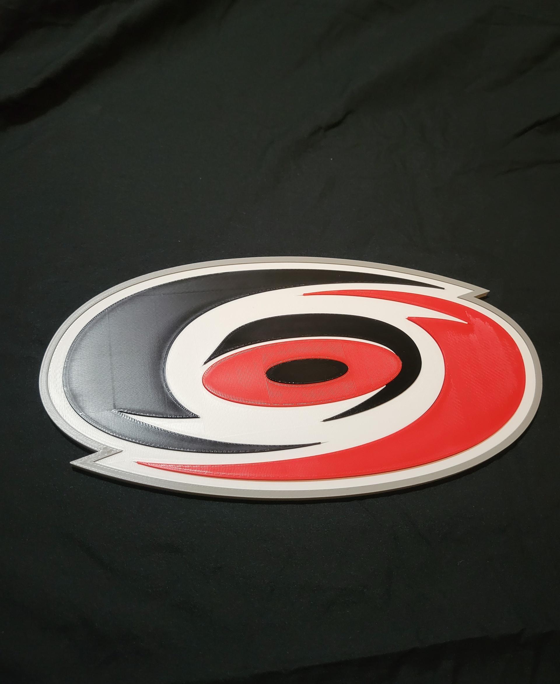 Carolina Hurricanes 3d model