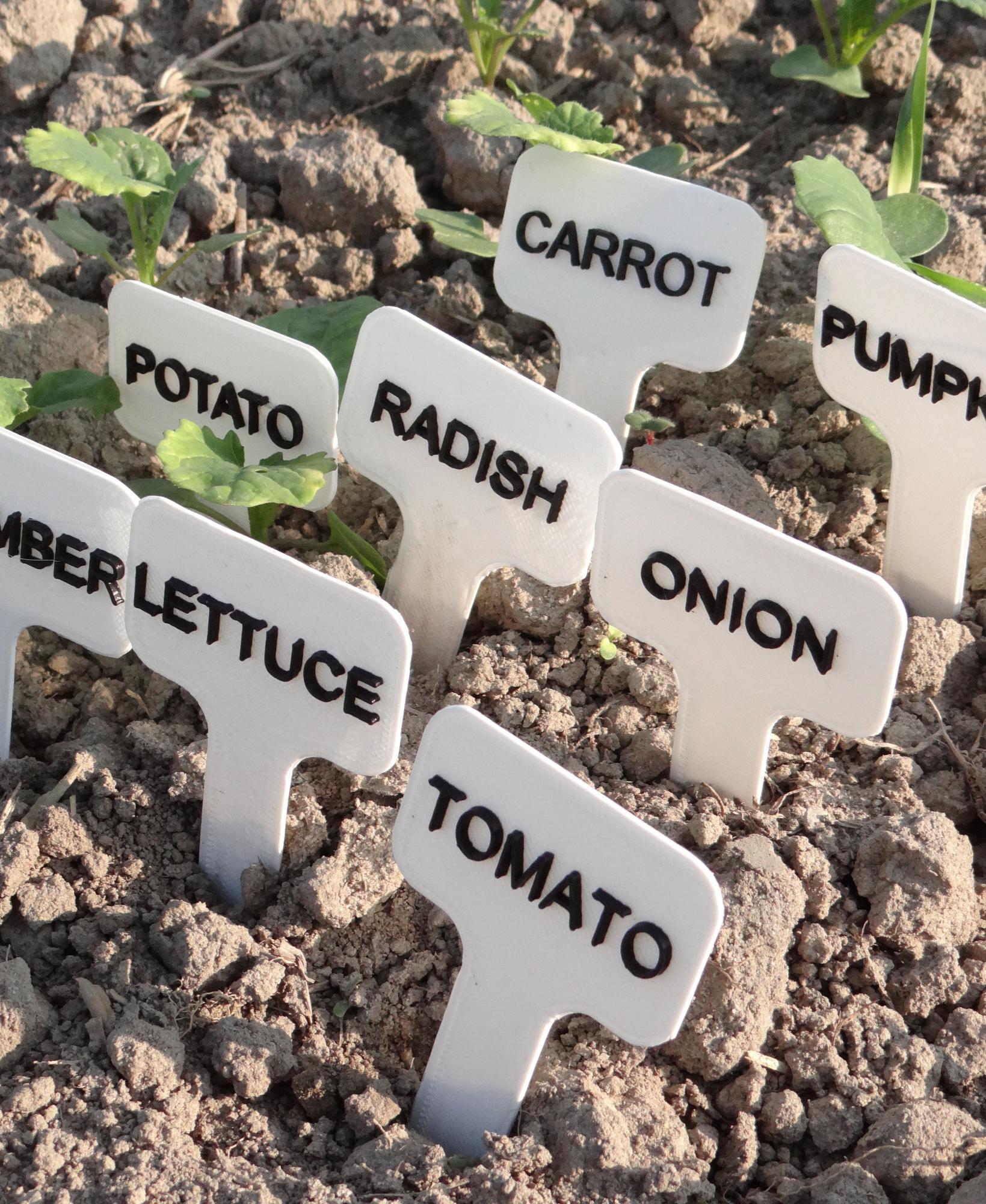 Garden vegetables plants markers/labels 3d model