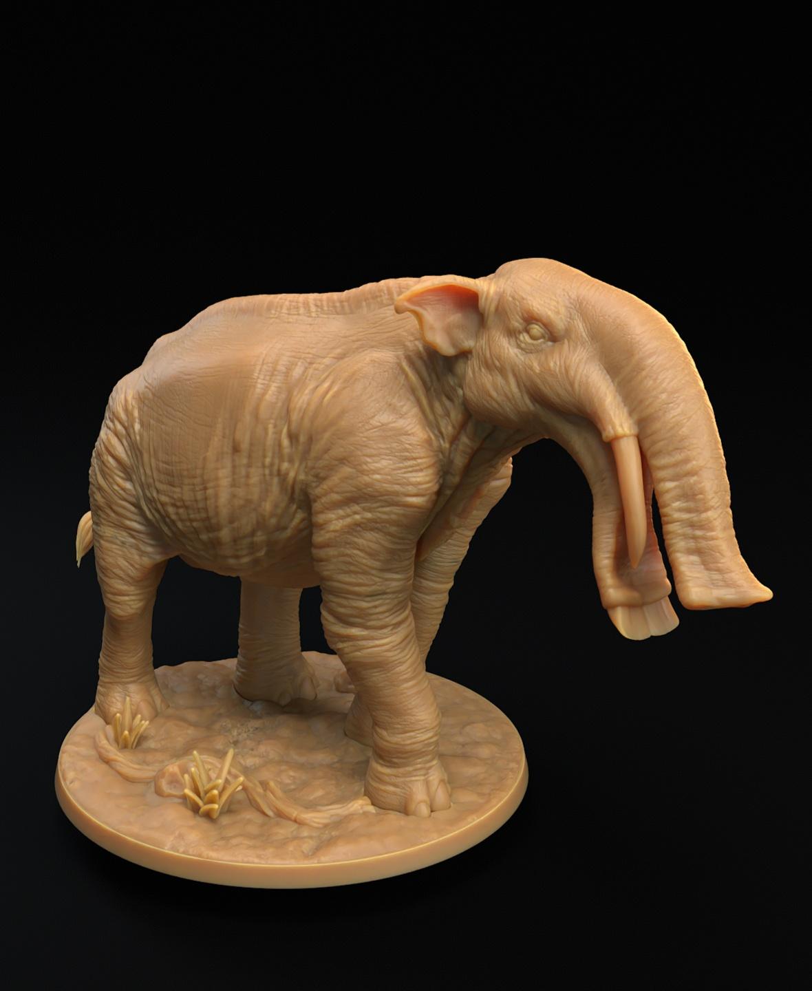 Platybelodon 3d model