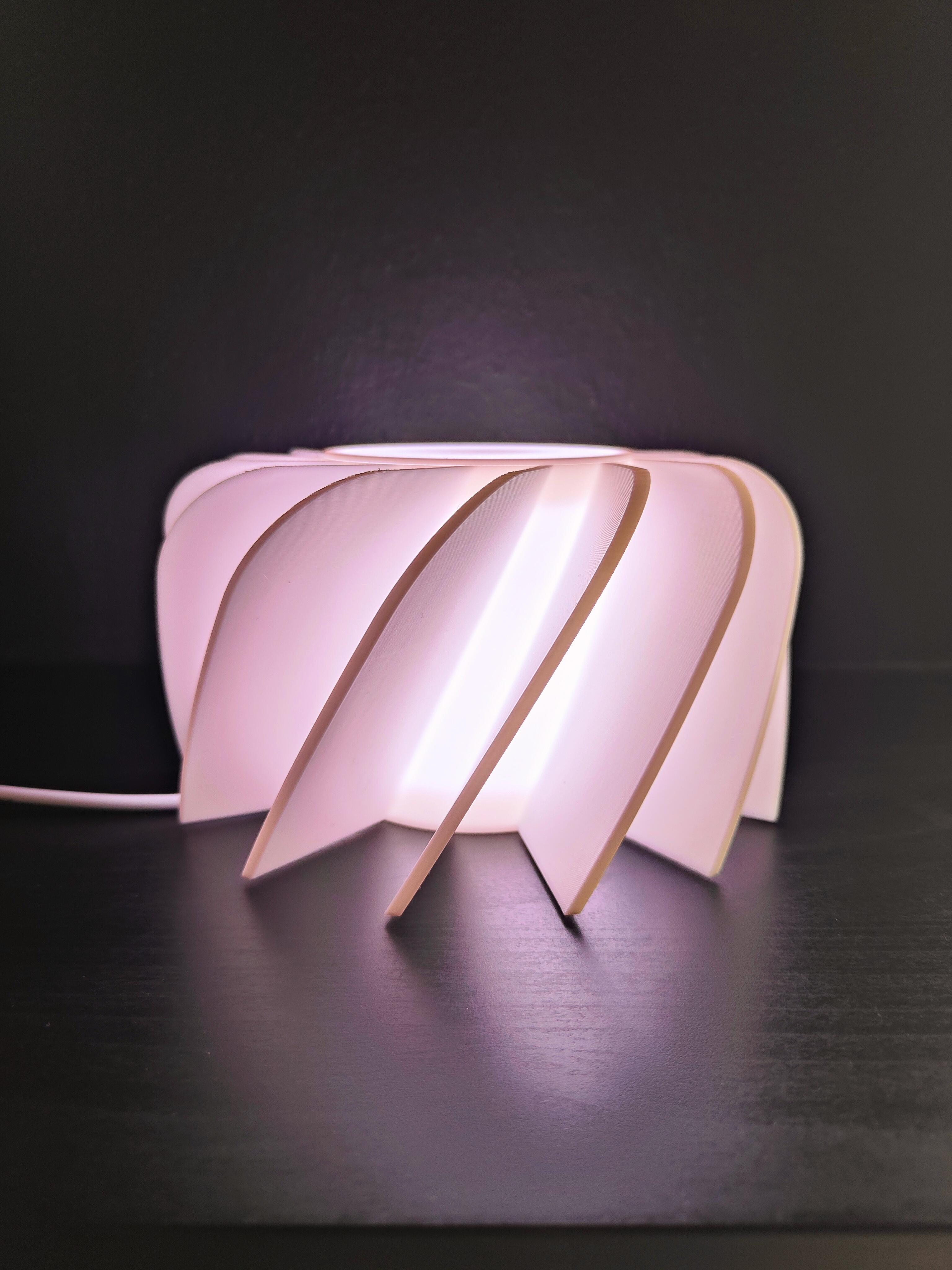 Fan Lamp 3d model