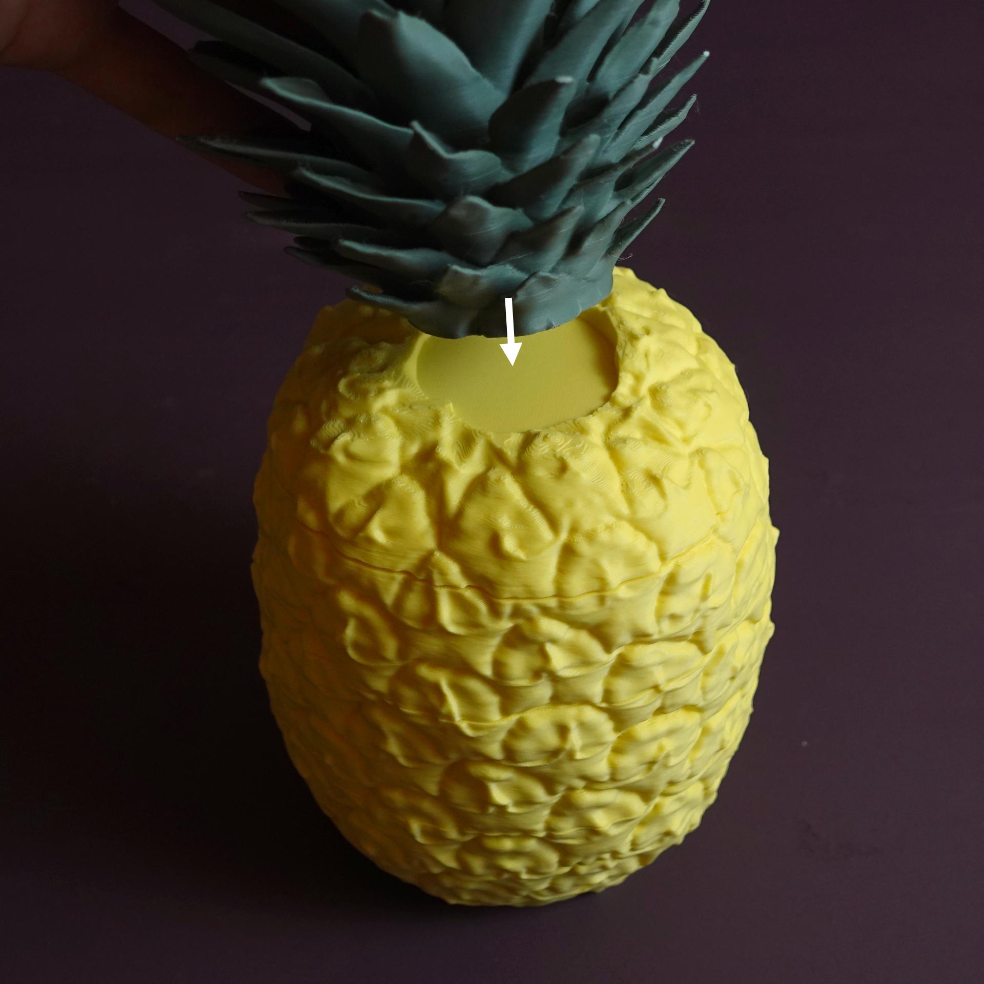 Sliced Ananas 3d model