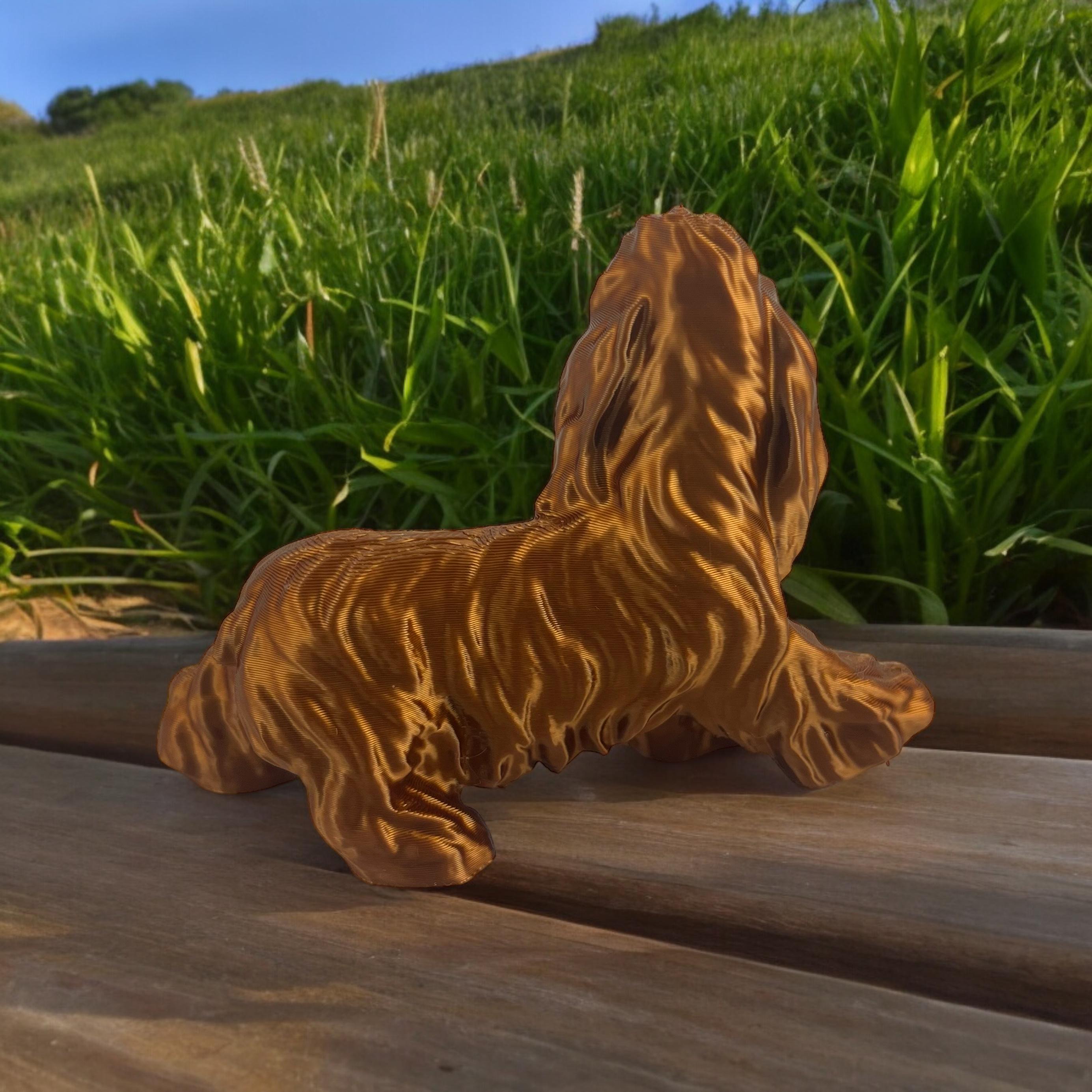 cocker spaniel big 3d model