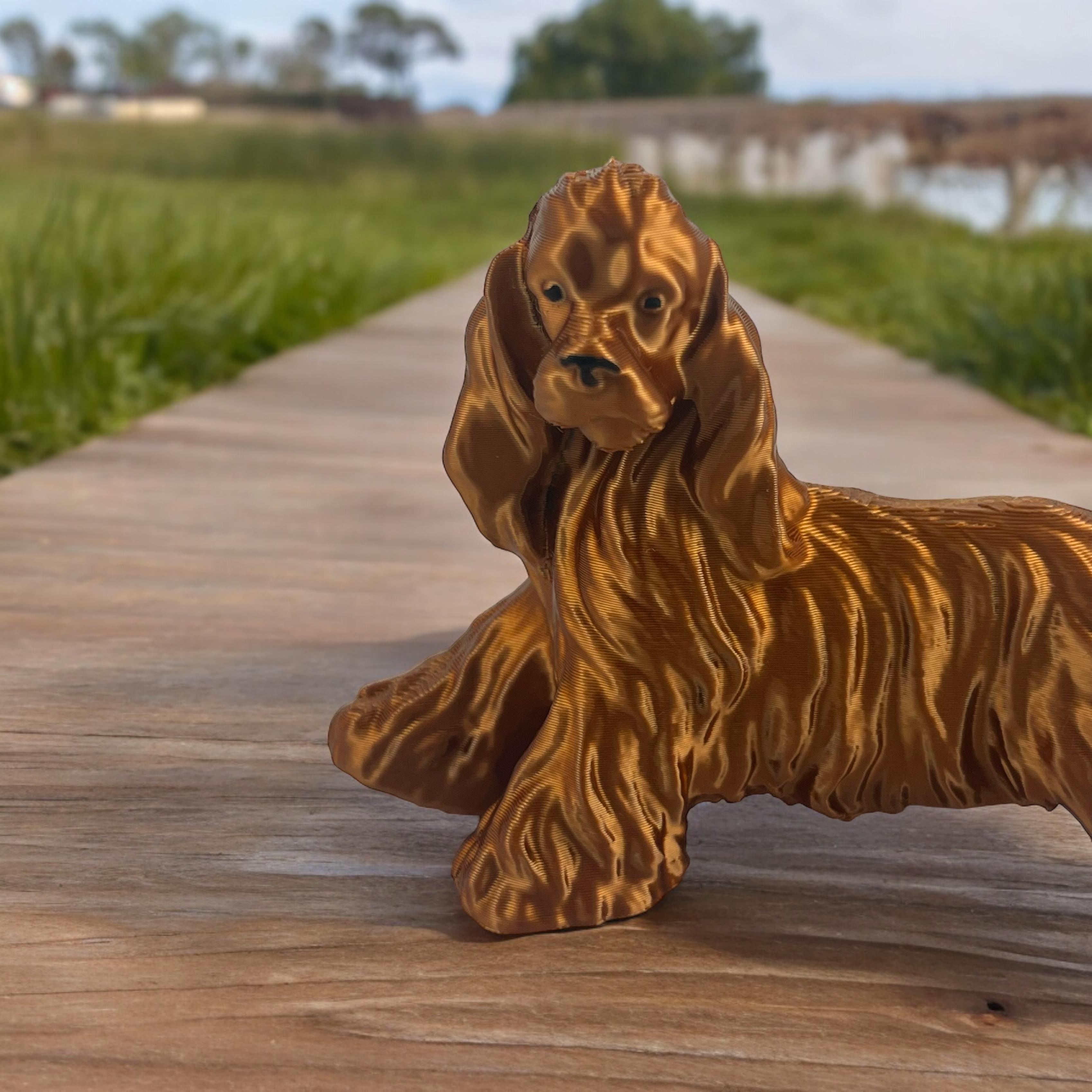 cocker spaniel big 3d model