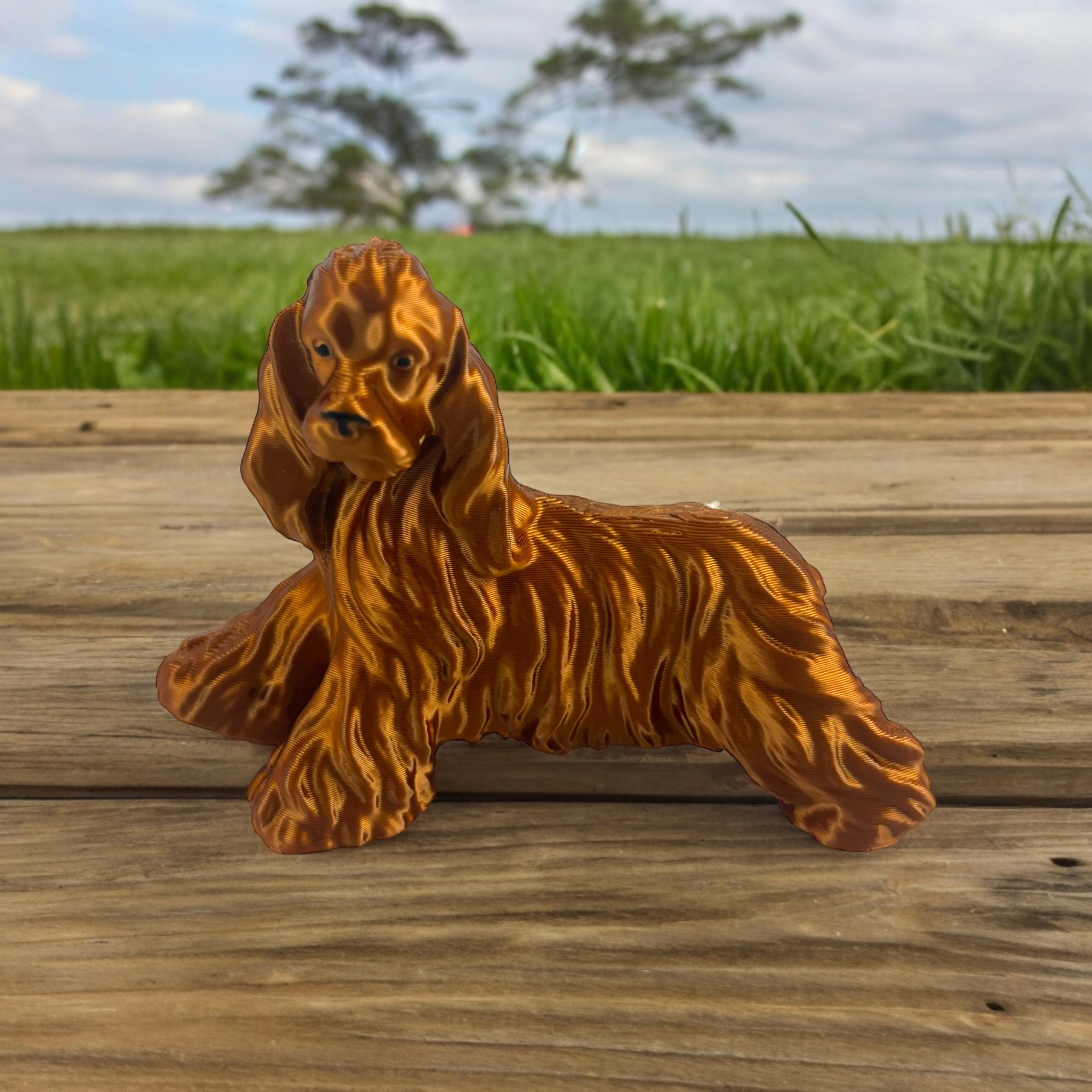 cocker spaniel big 3d model