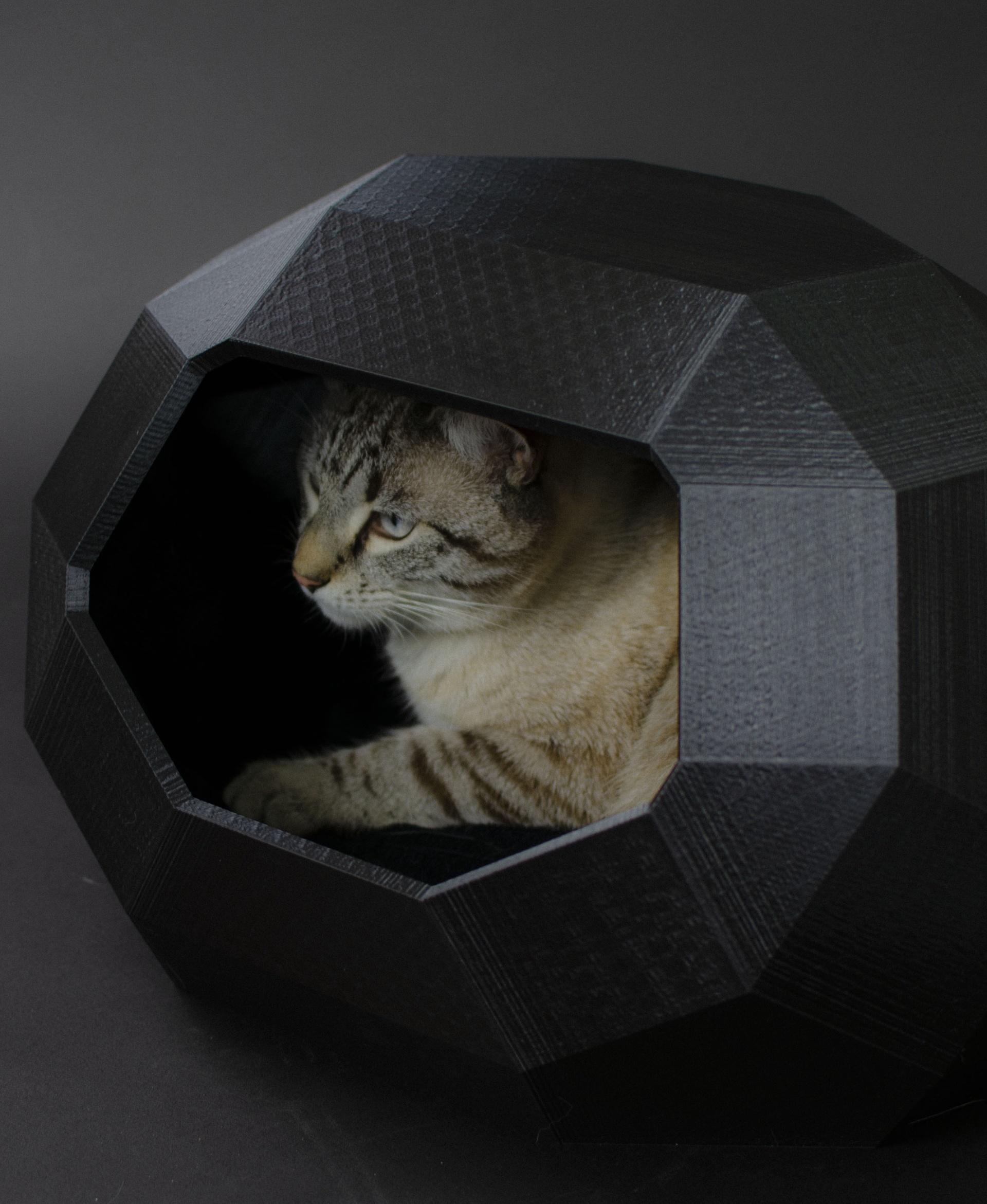 HOUSE FOR CAT MINI TAO LOW POLY - Follow us: linktr.ee/catalpine 3d model