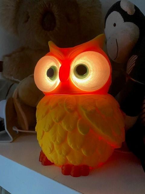 Multi Coloured Owl Lights for NeoPixel Lights 3d model