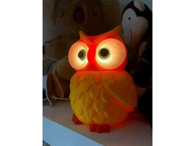 Multi Coloured Owl Lights for NeoPixel Lights 3d model